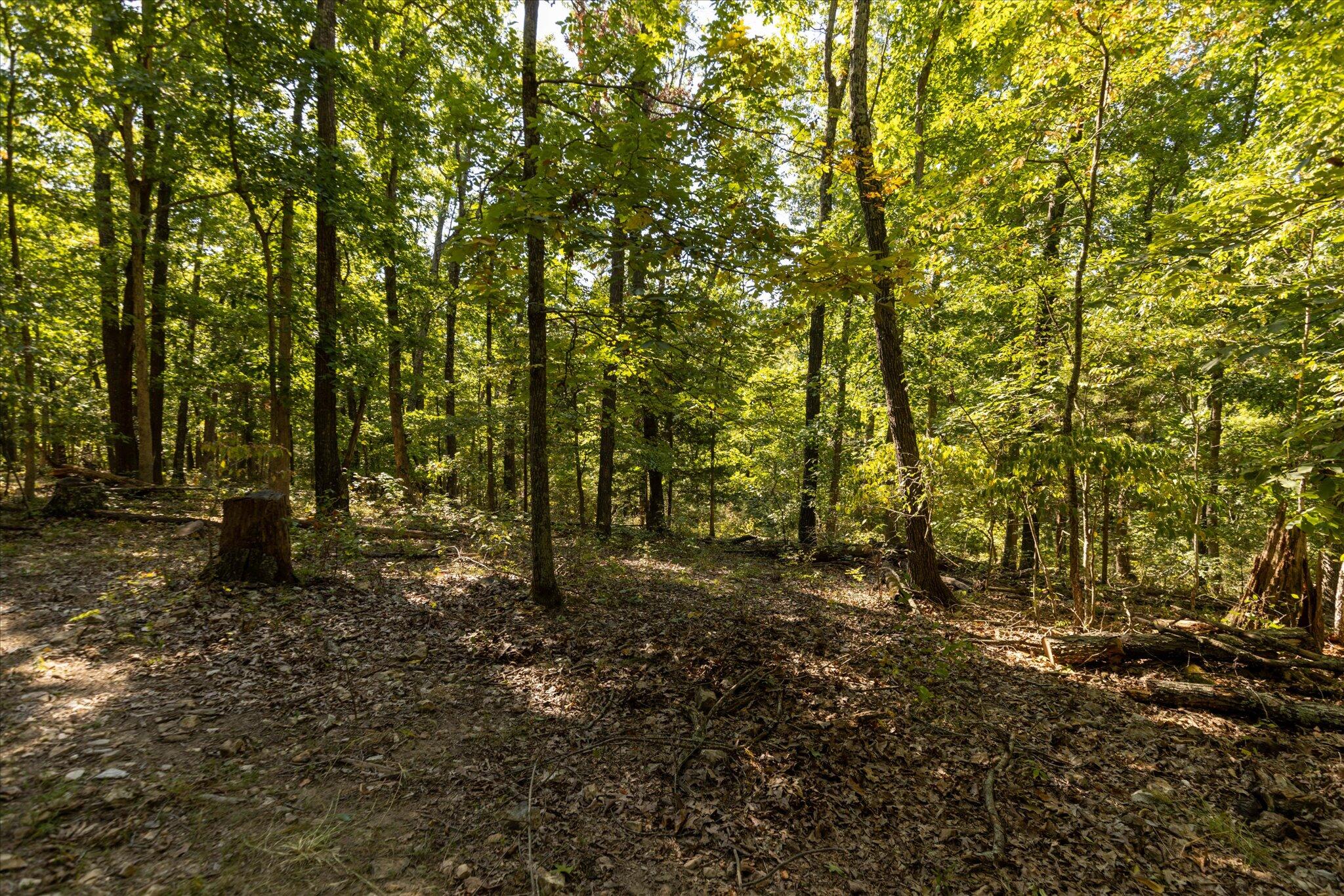 000 Watts Road Property Photo 19