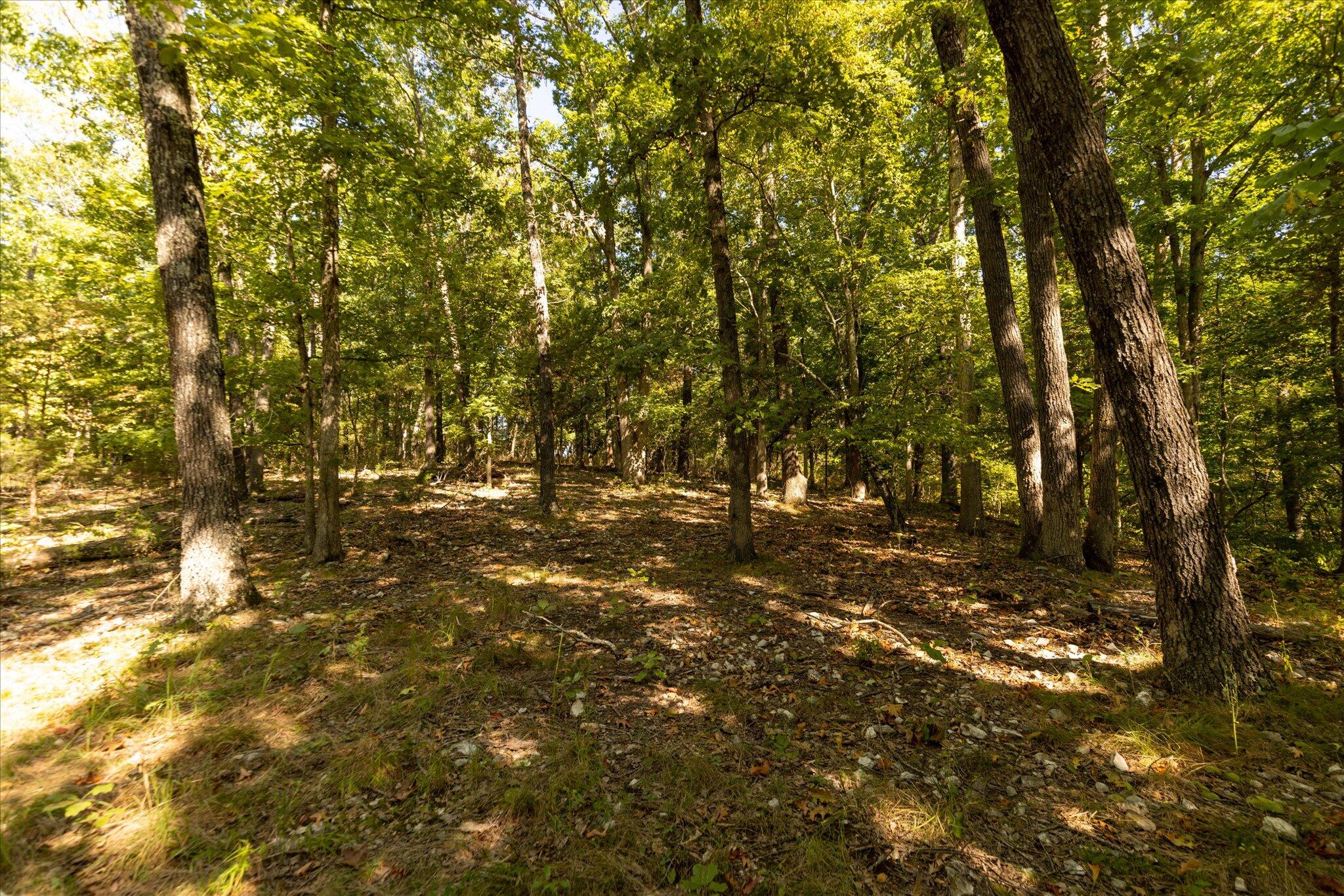 000 Watts Road Property Photo 25