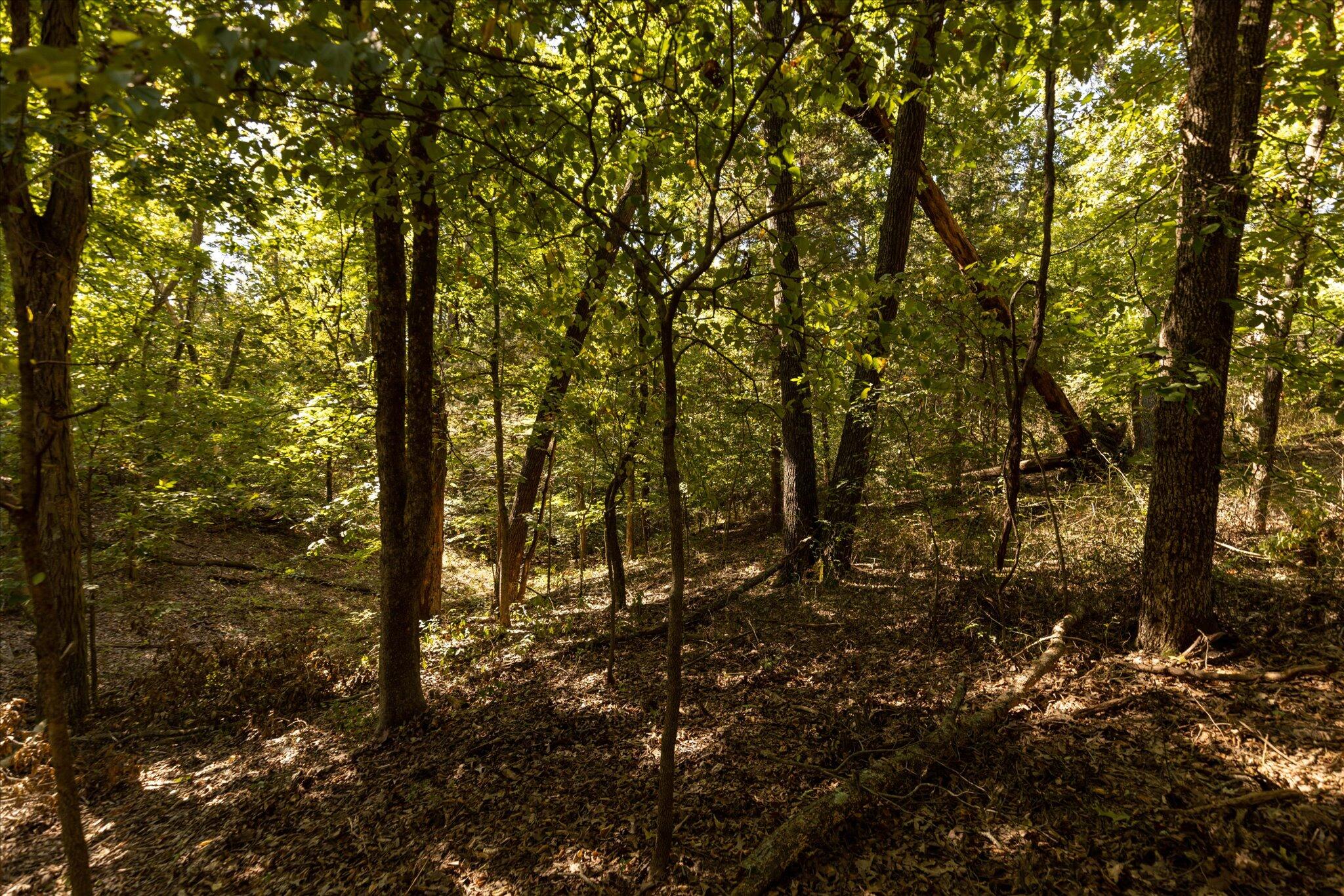 000 Watts Road Property Photo 30
