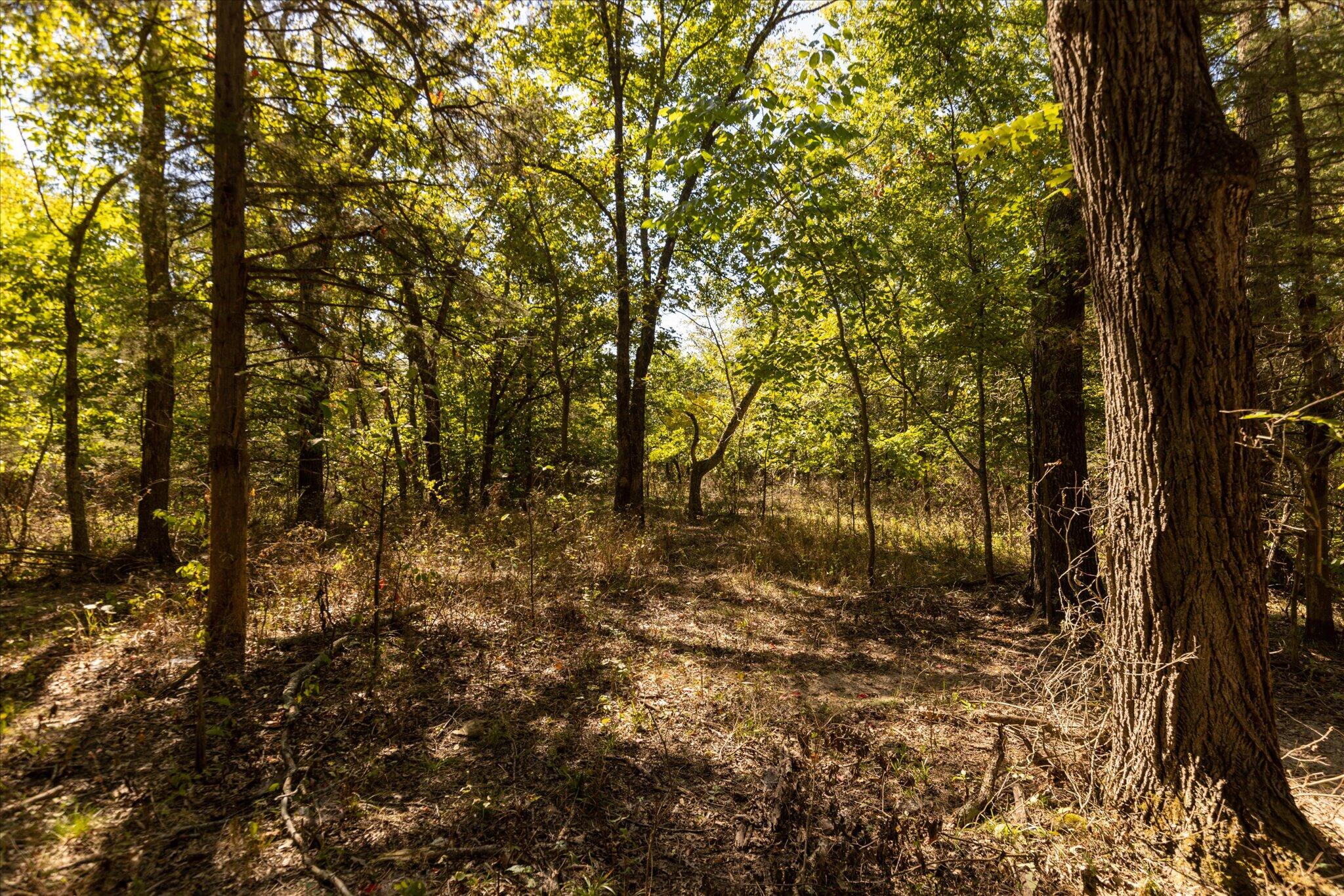 000 Watts Road Property Photo 31