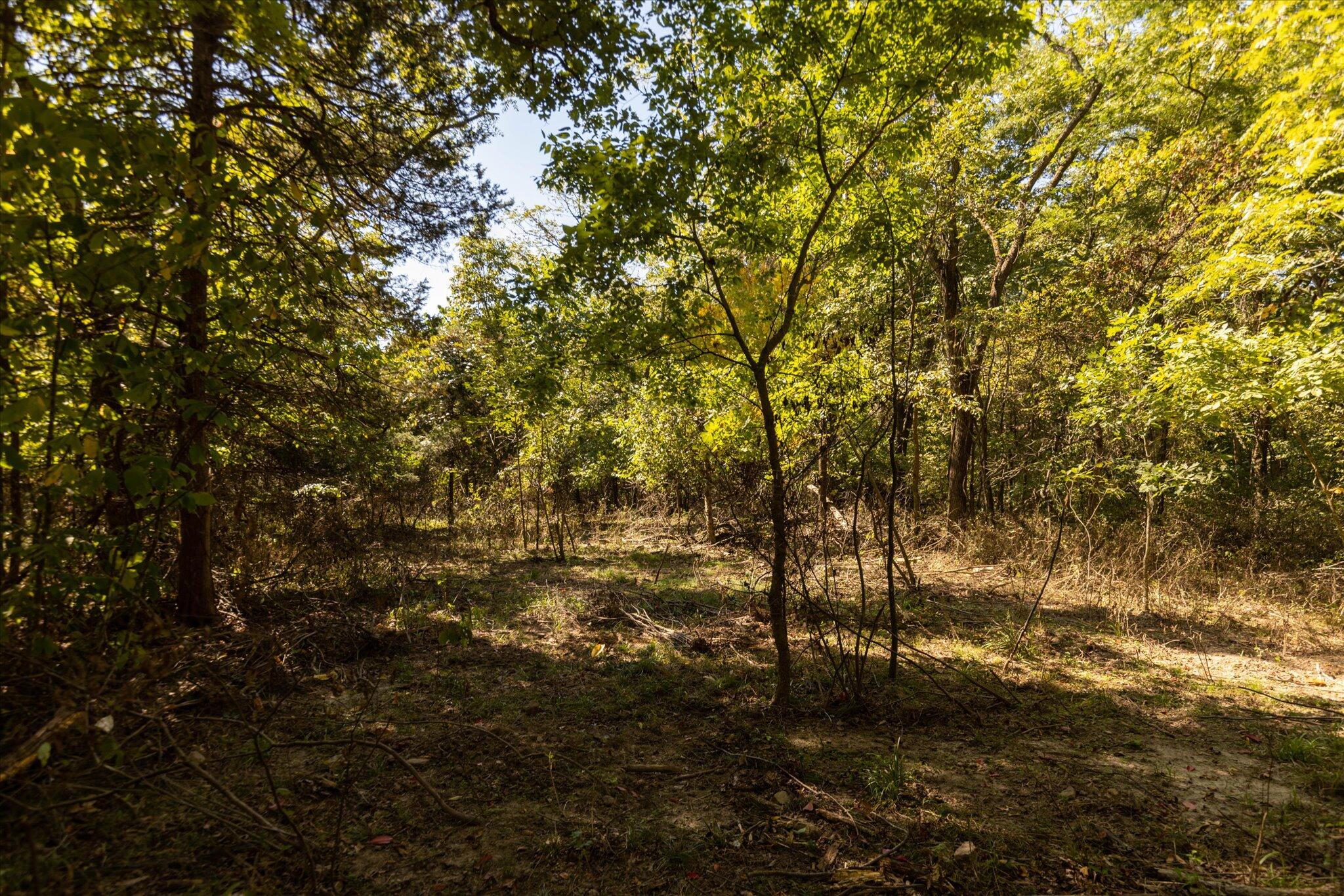 000 Watts Road Property Photo 32
