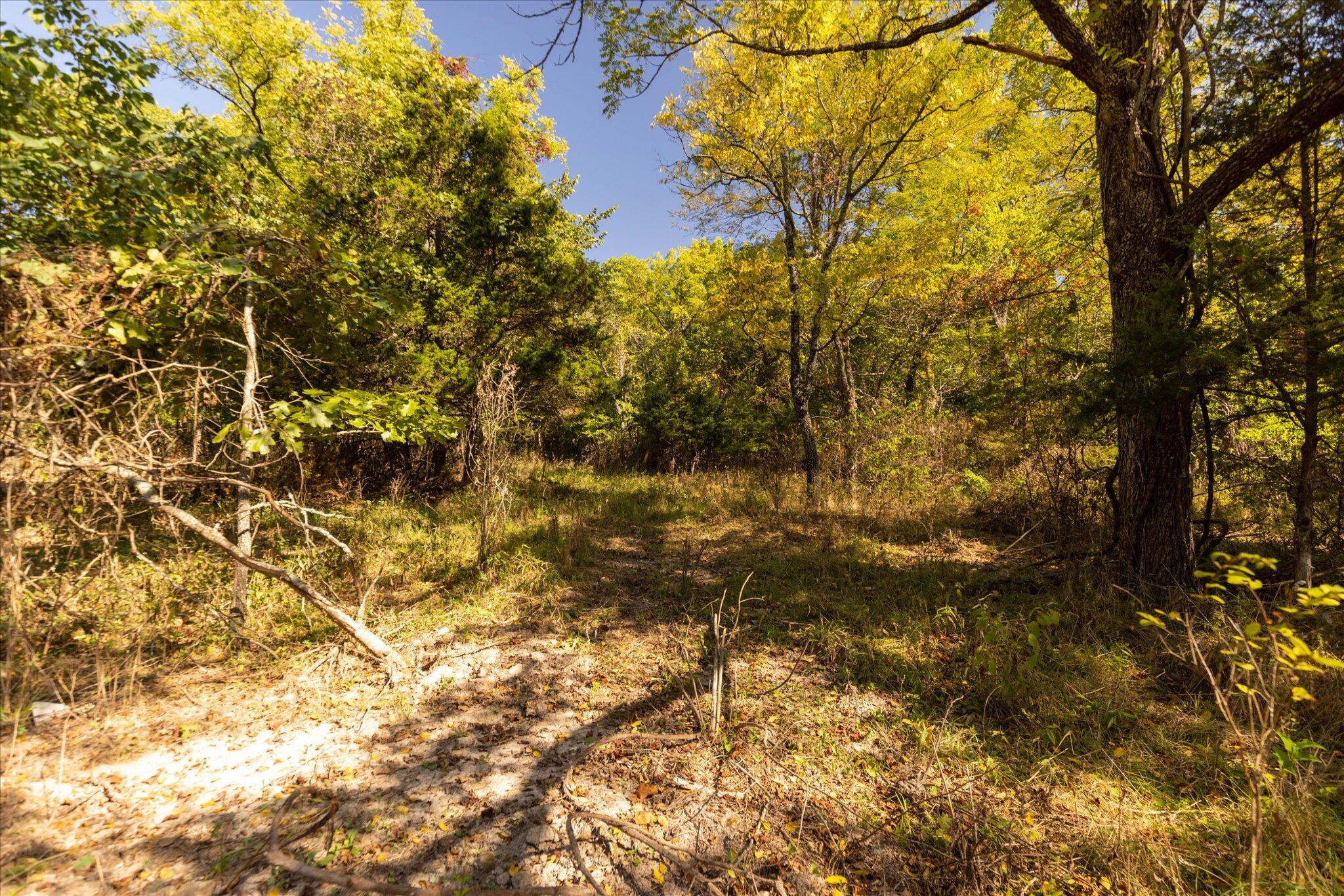 000 Watts Road Property Photo 33