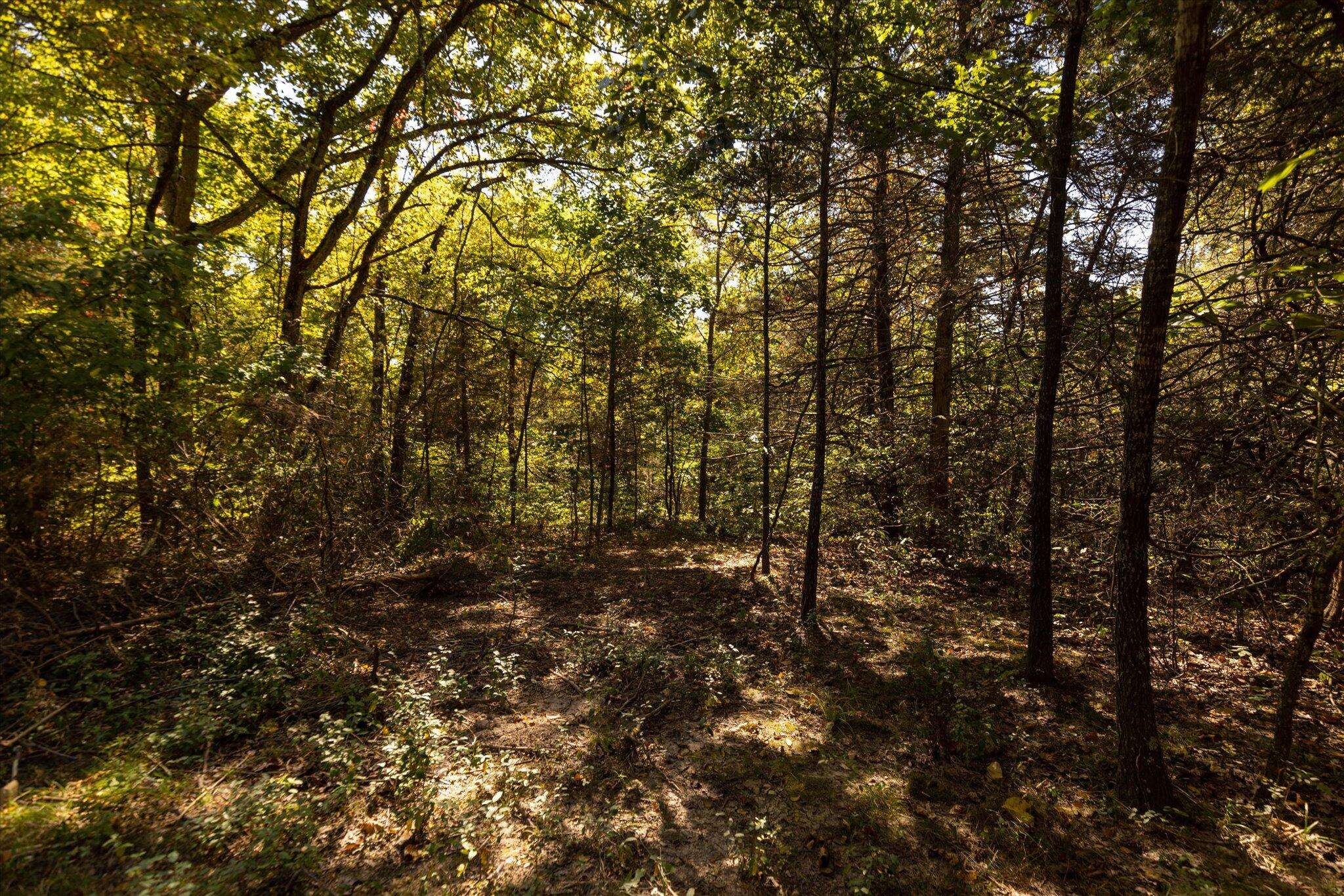 000 Watts Road Property Photo 34