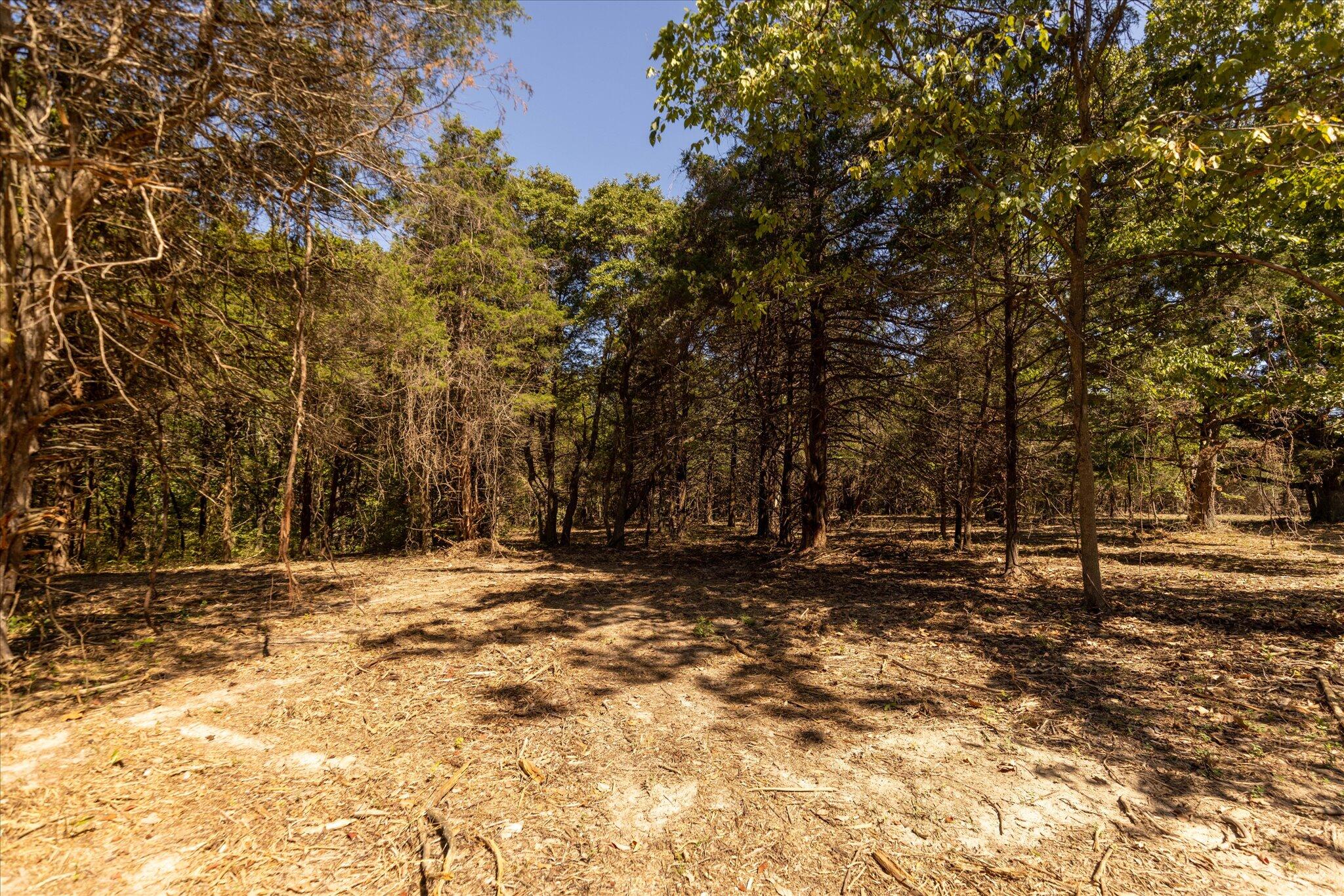 000 Watts Road Property Photo 38