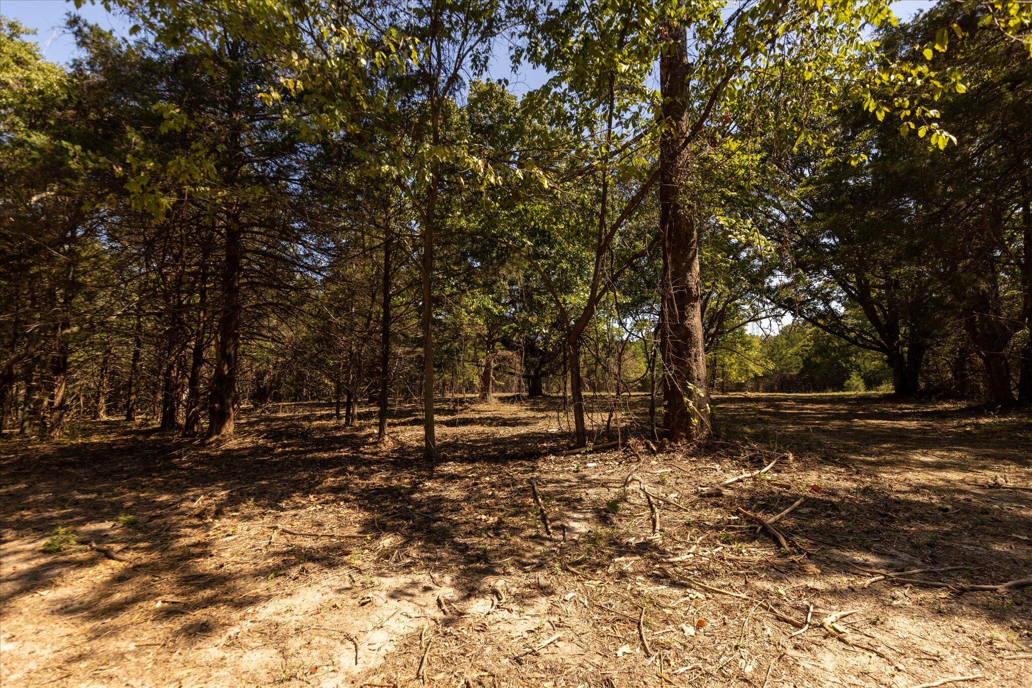 000 Watts Road Property Photo 39