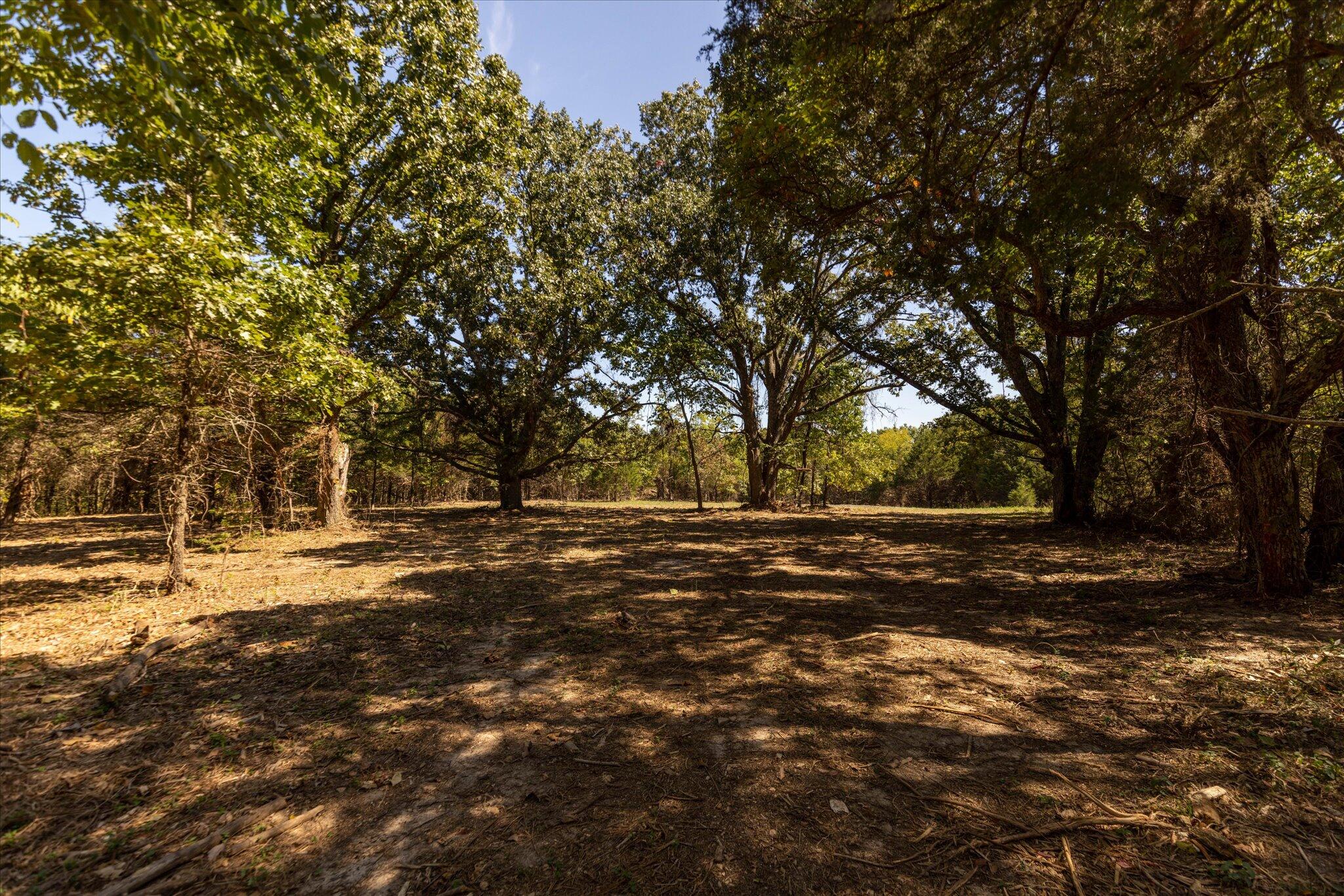 000 Watts Road Property Photo 40