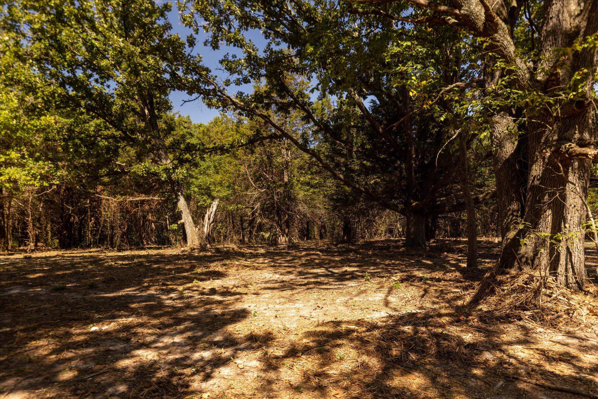 000 Watts Road Property Photo 43
