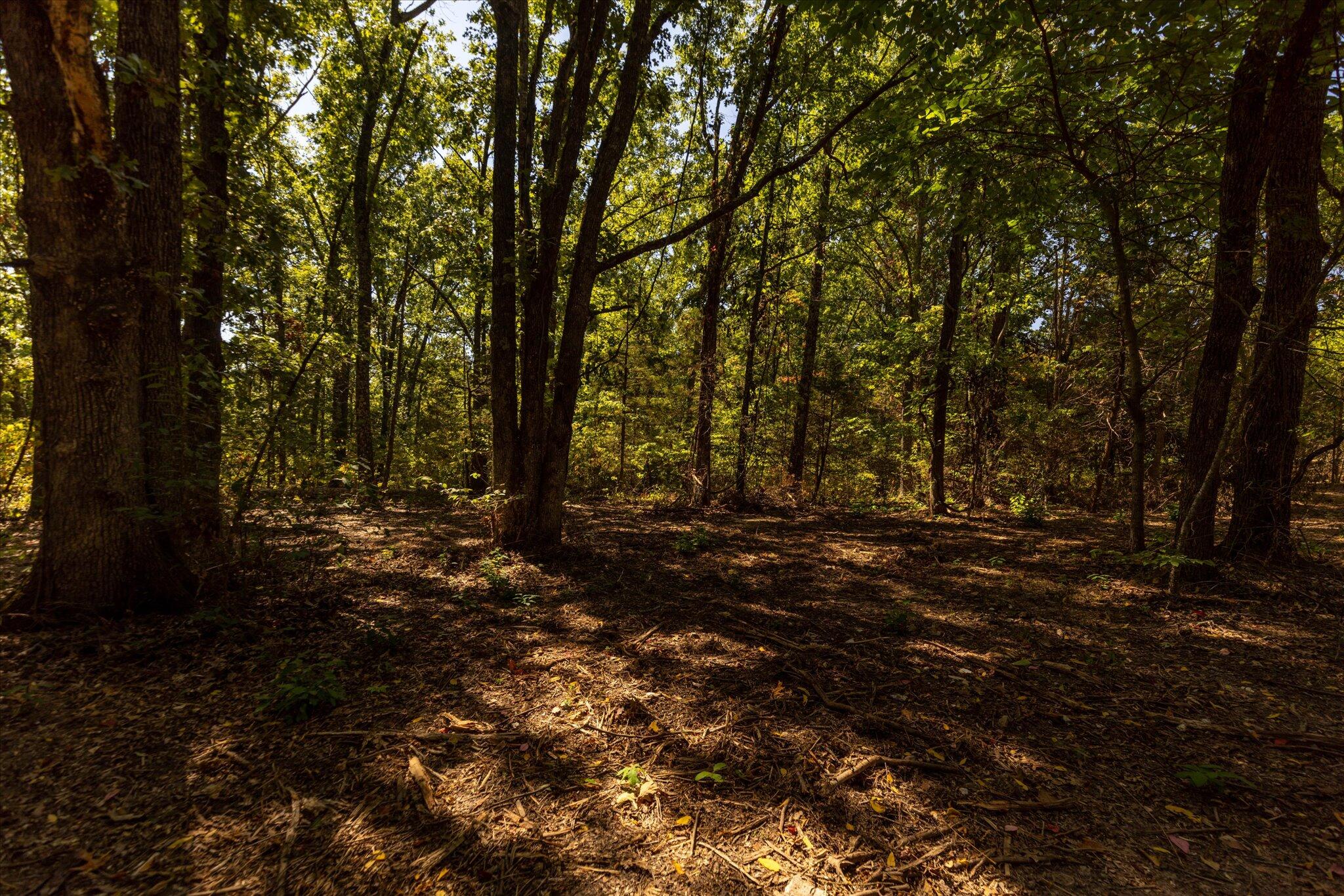 000 Watts Road Property Photo 45