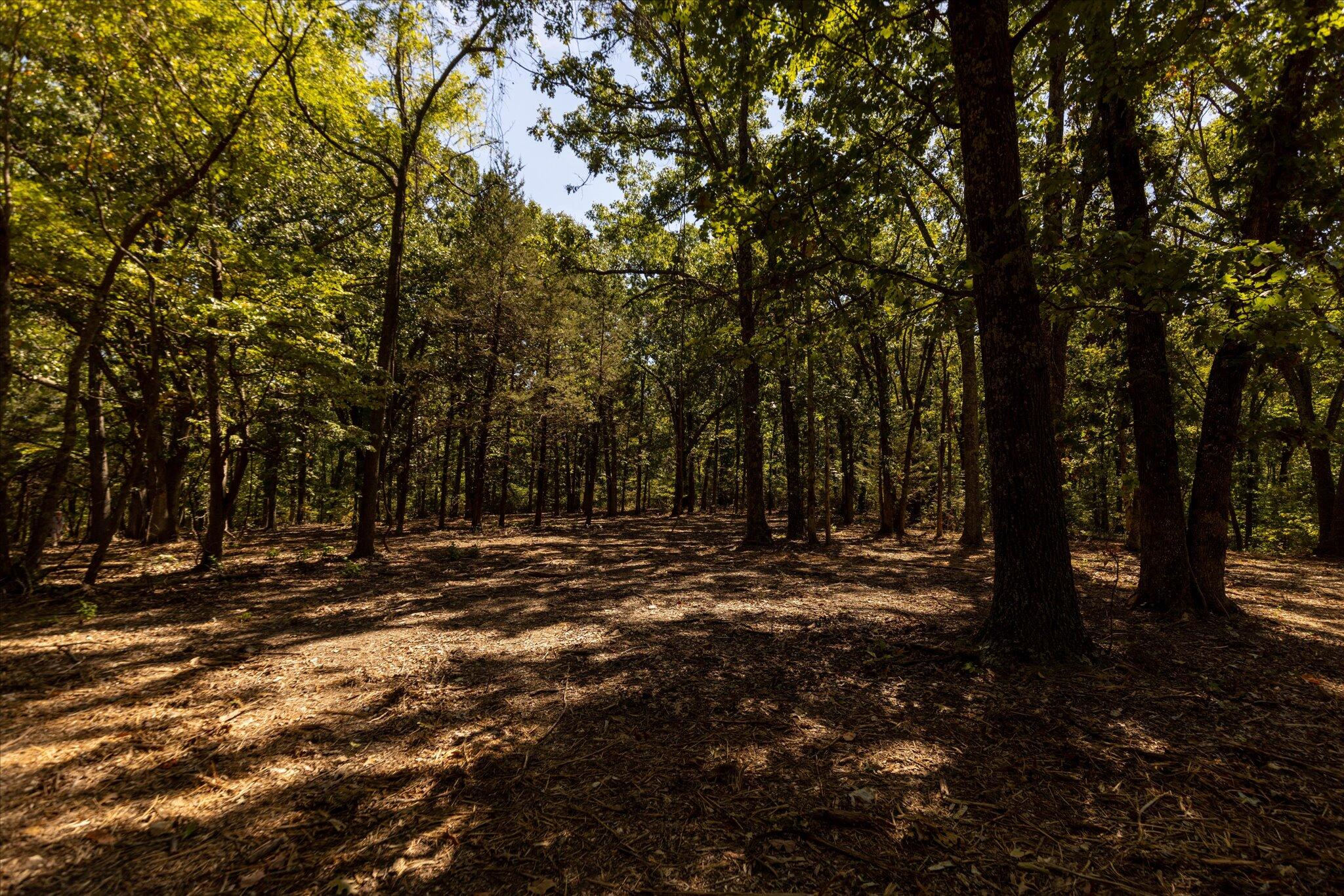 000 Watts Road Property Photo 46
