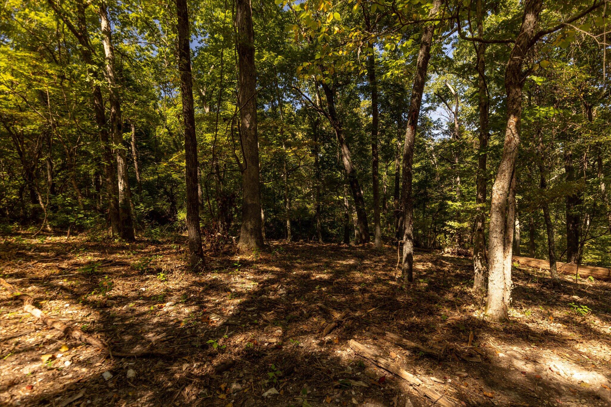 000 Watts Road Property Photo 49