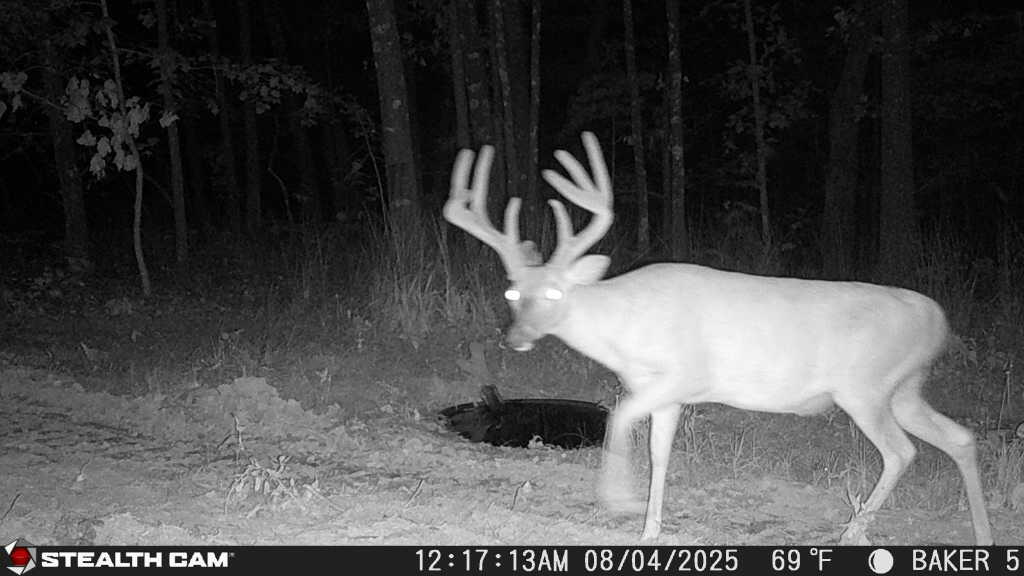 20265 East M Highway Property Photo 3