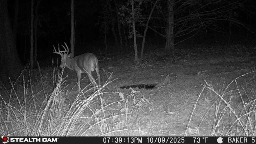 20265 East M Highway Property Photo 4