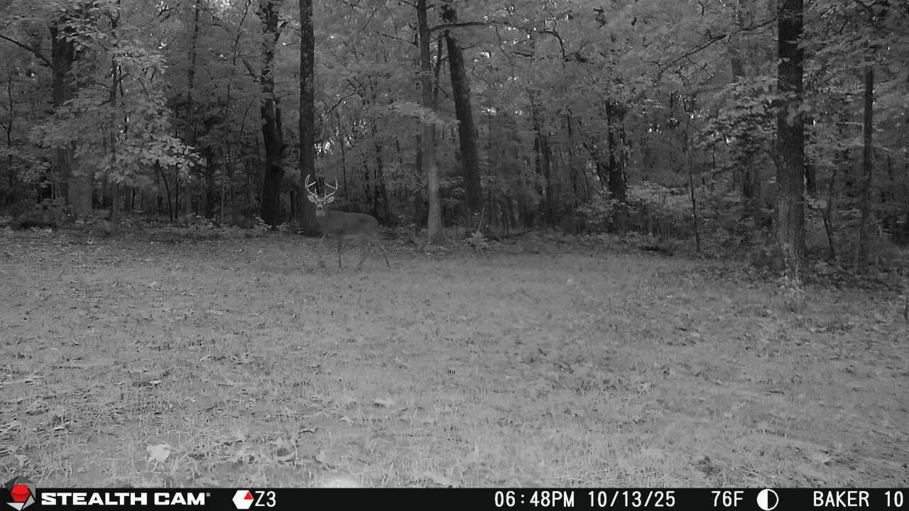 20265 East M Highway Property Photo 5