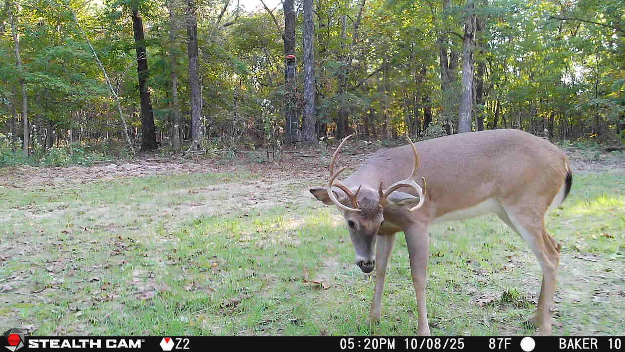 20265 East M Highway Property Photo 6