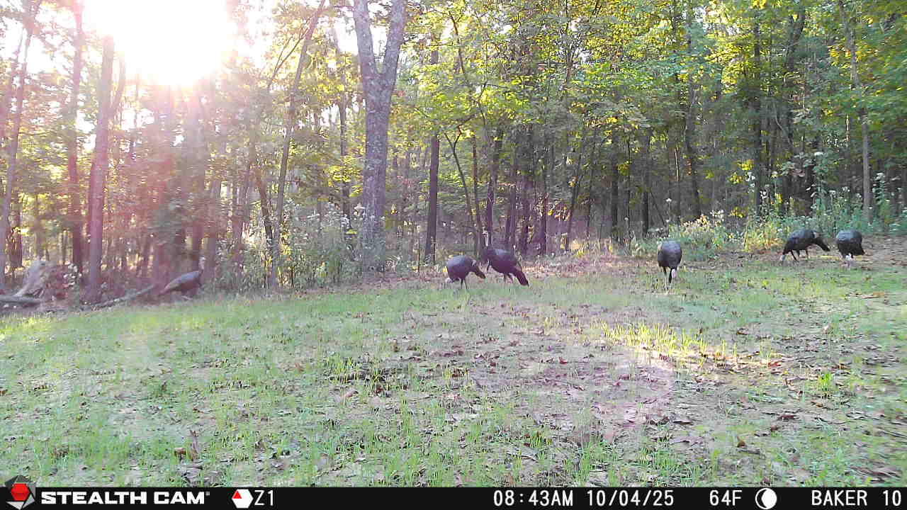 20265 East M Highway Property Photo 7