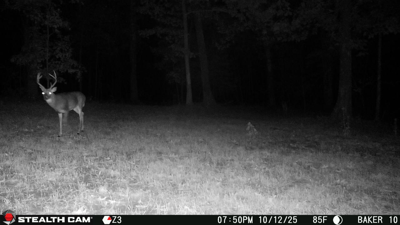 20265 East M Highway Property Photo 8