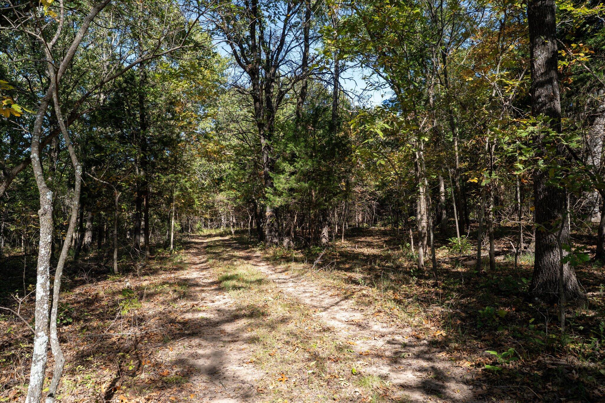 20265 East M Highway Property Photo 22