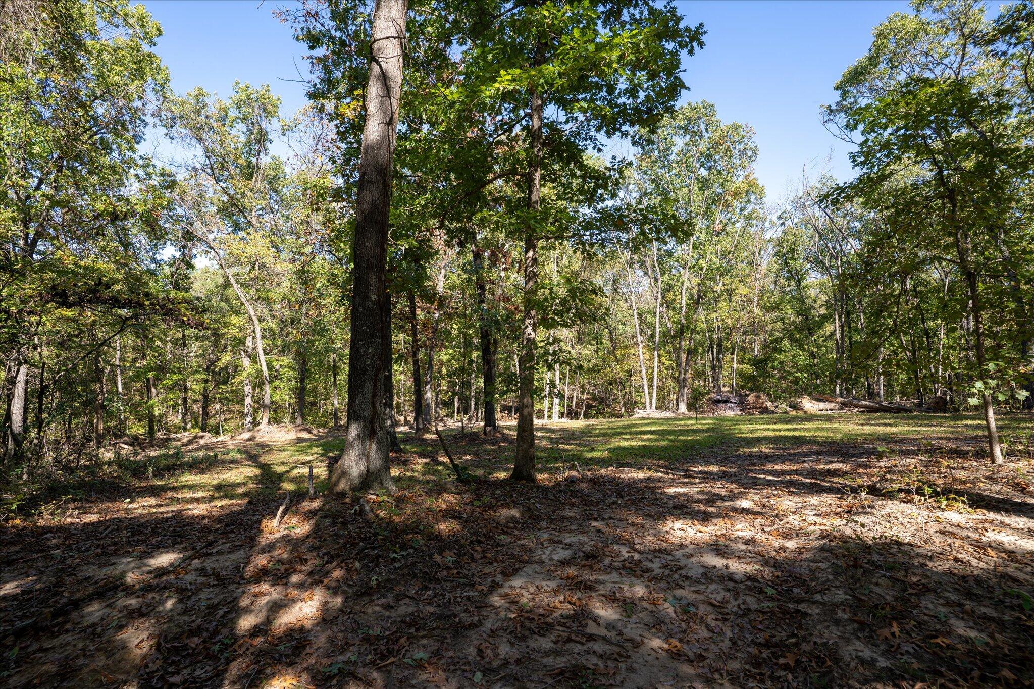 20265 East M Highway Property Photo 23