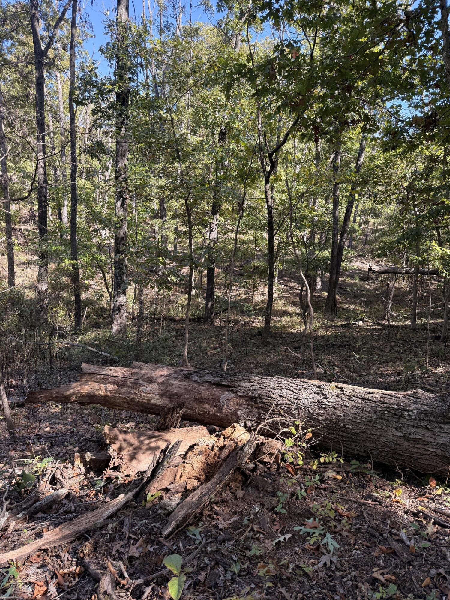 20265 East M Highway Property Photo 24