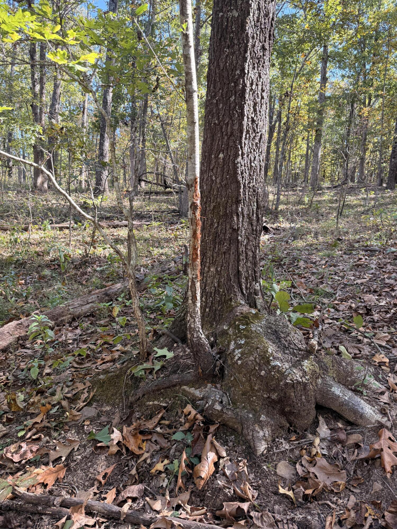 20265 East M Highway Property Photo 26