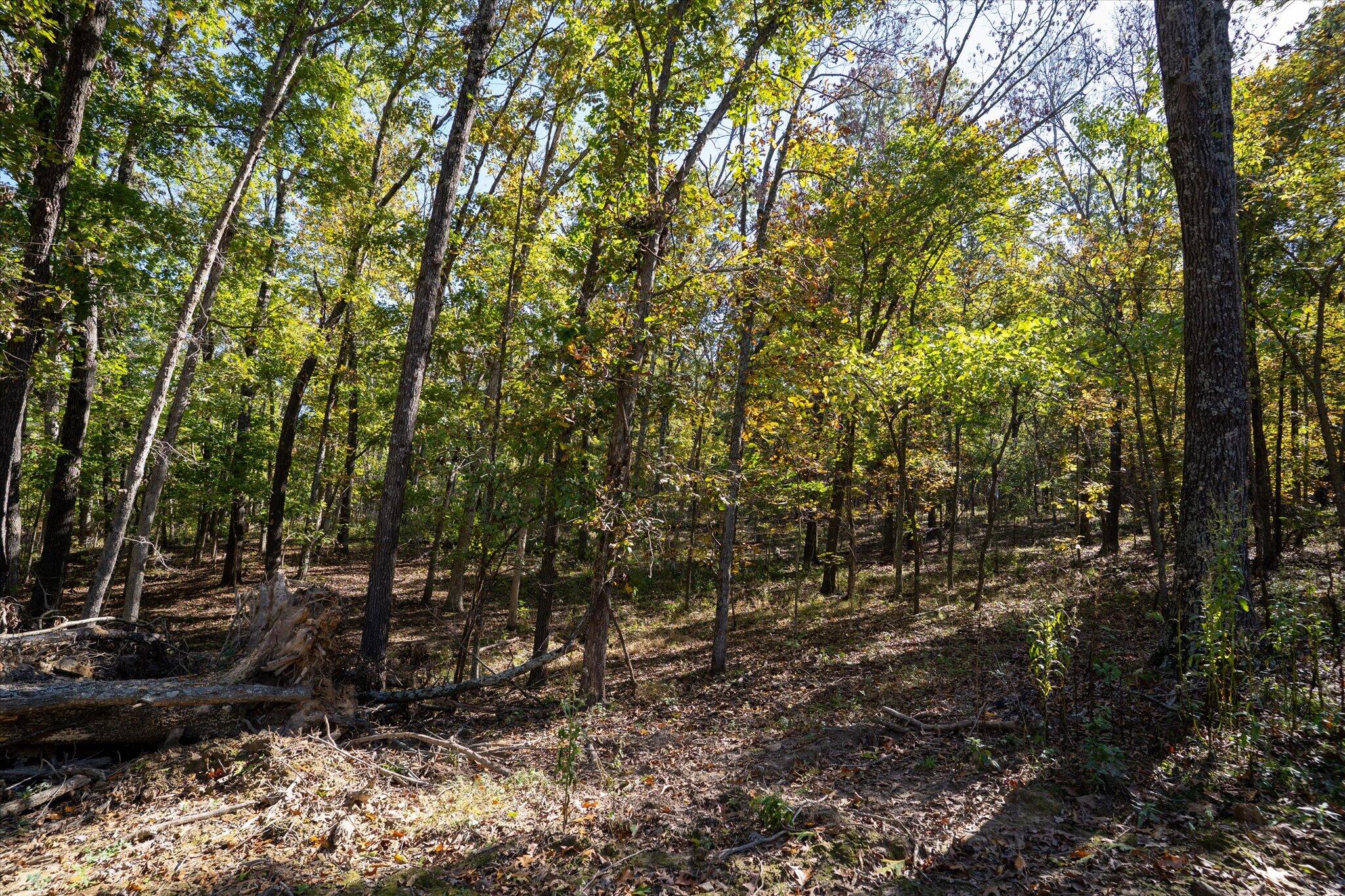 20265 East M Highway Property Photo 27