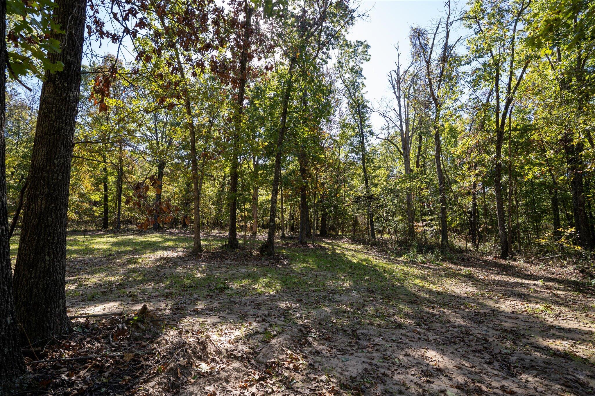 20265 East M Highway Property Photo 28