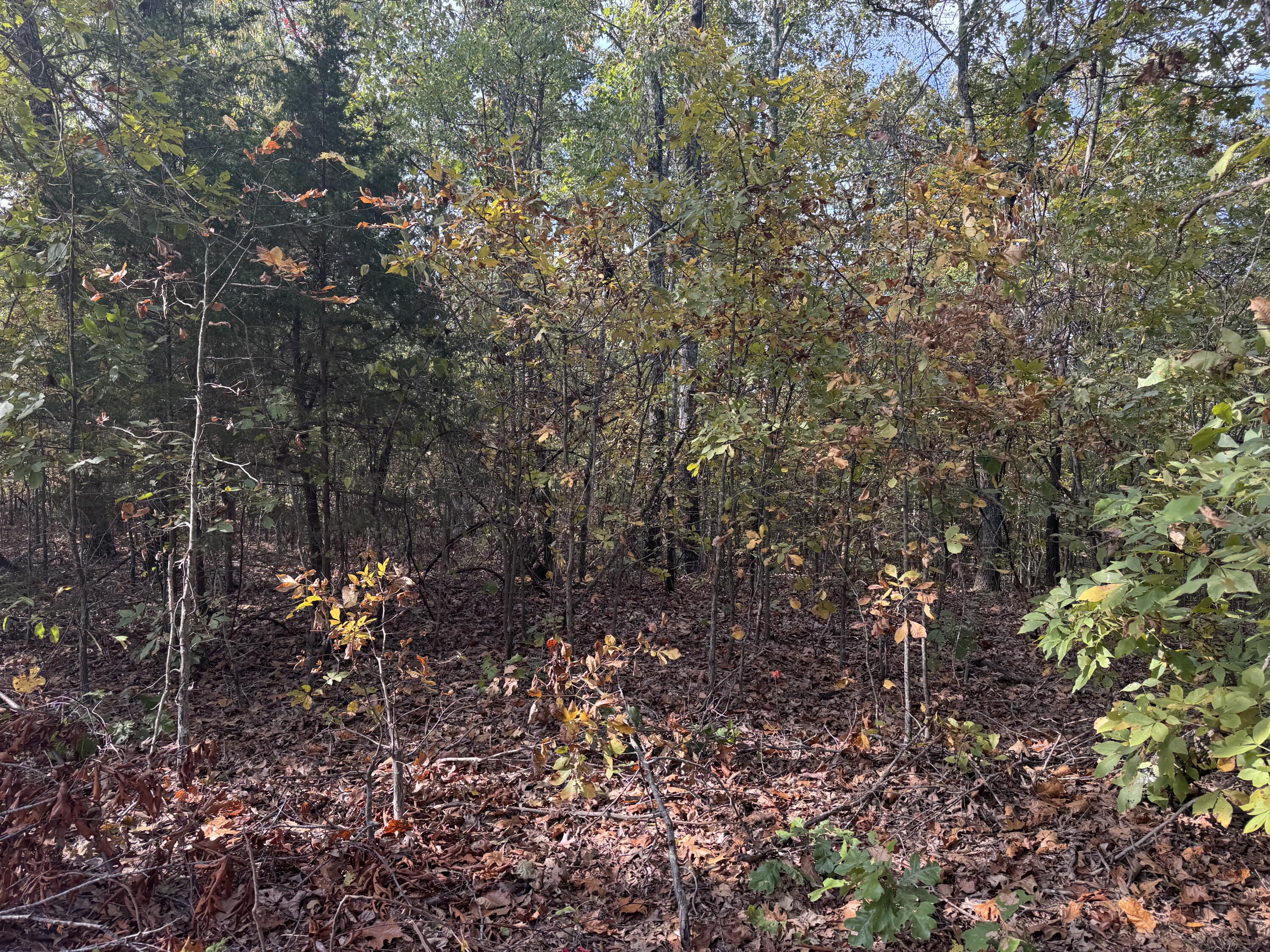 000 Tbd Yy Highway Property Photo 1
