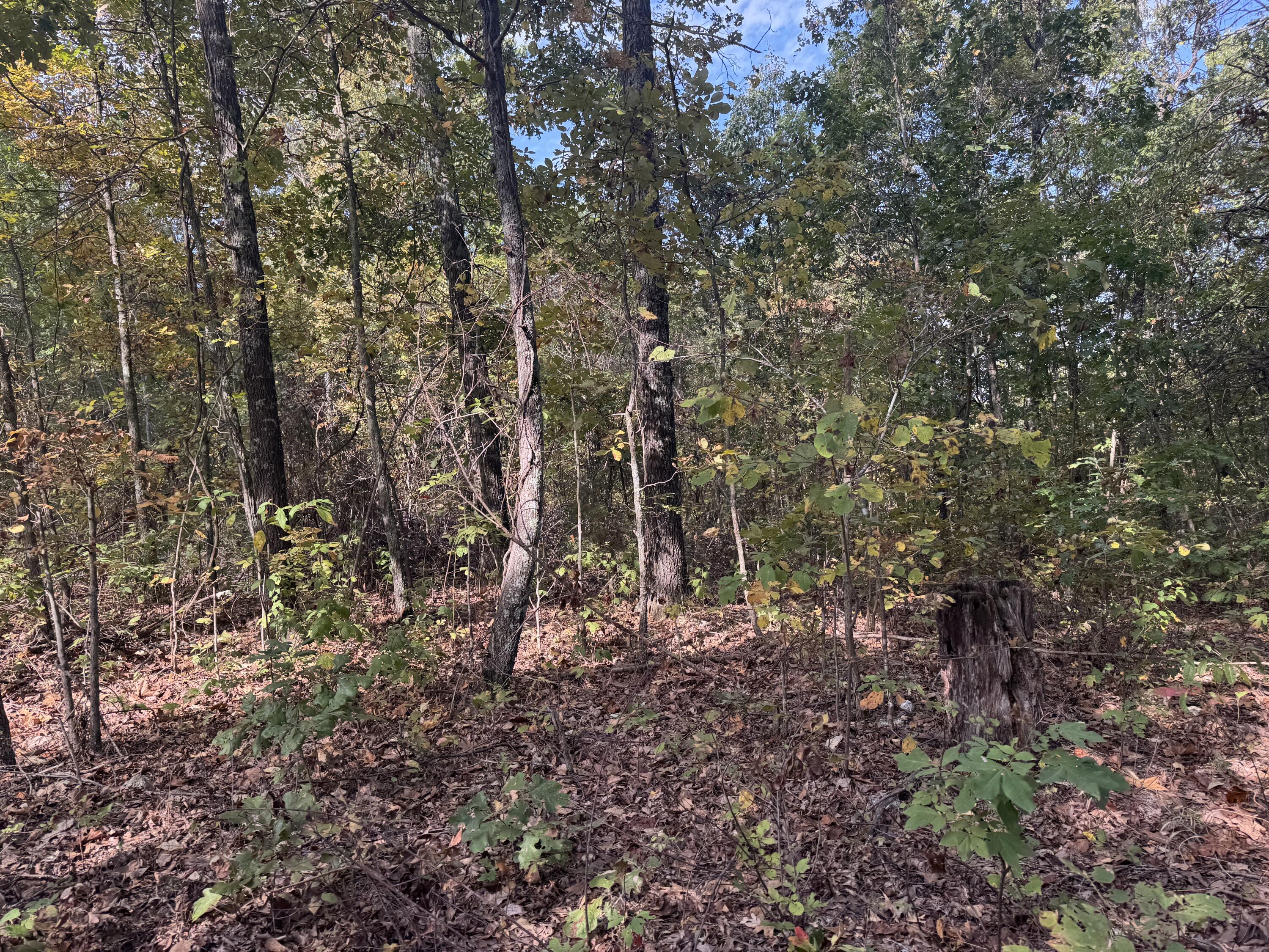000 Tbd Yy Highway Property Photo 2