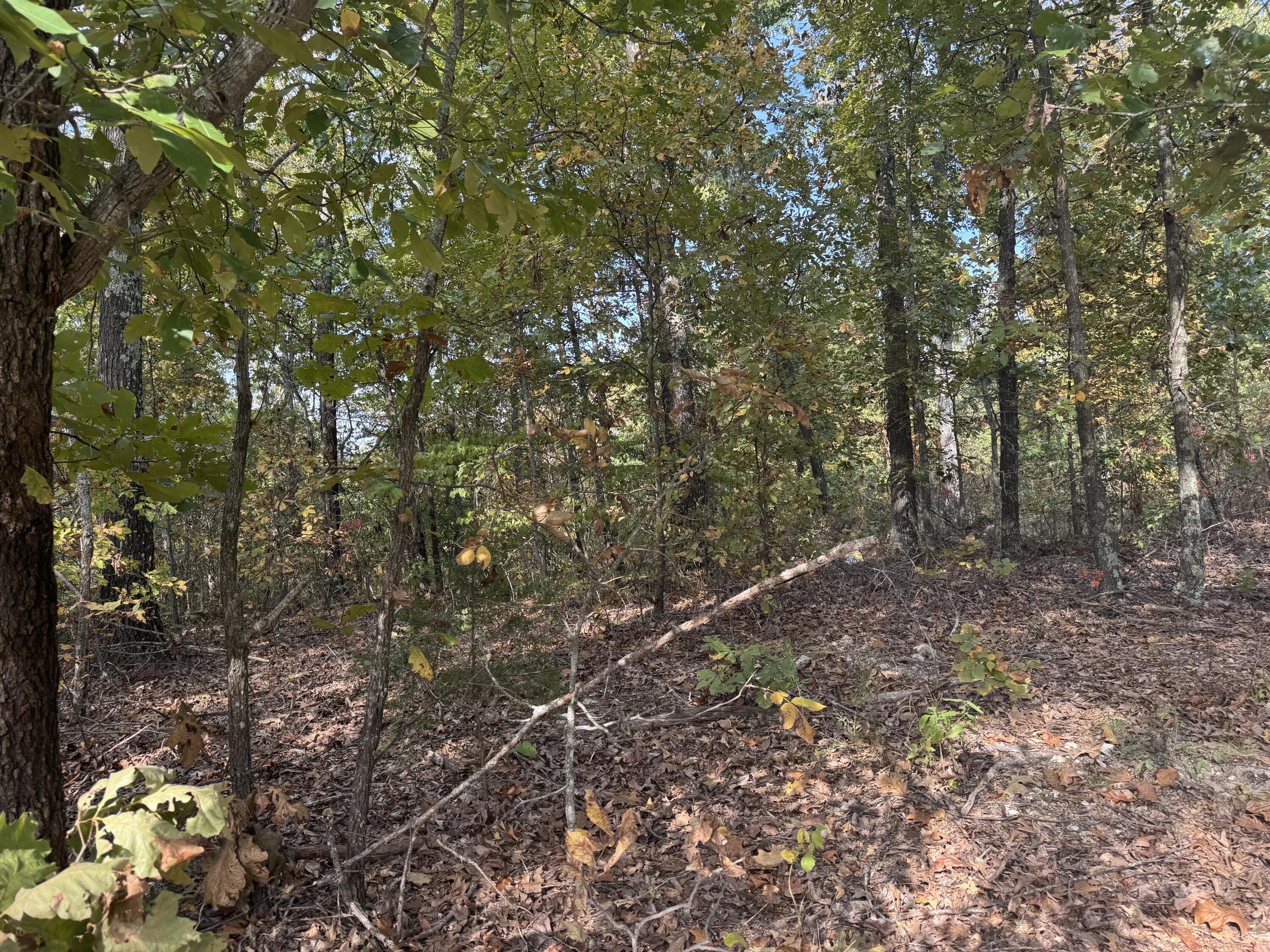 000 Tbd Yy Highway Property Photo 3