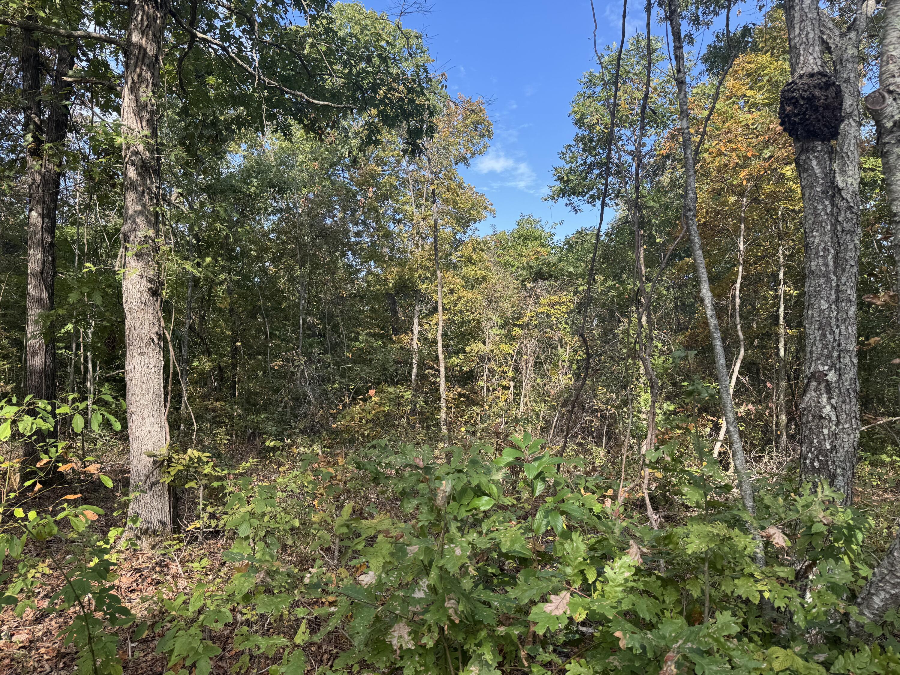 000 Tbd Yy Highway Property Photo 4