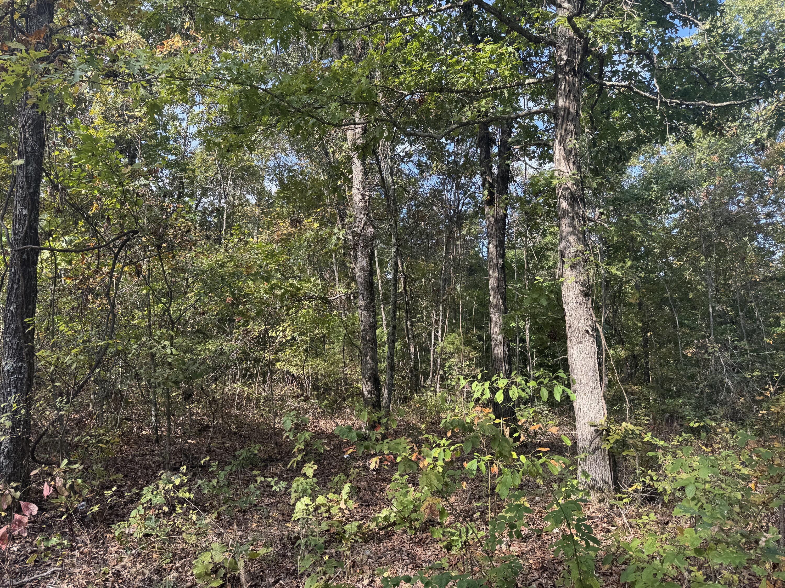 000 Tbd Yy Highway Property Photo 5