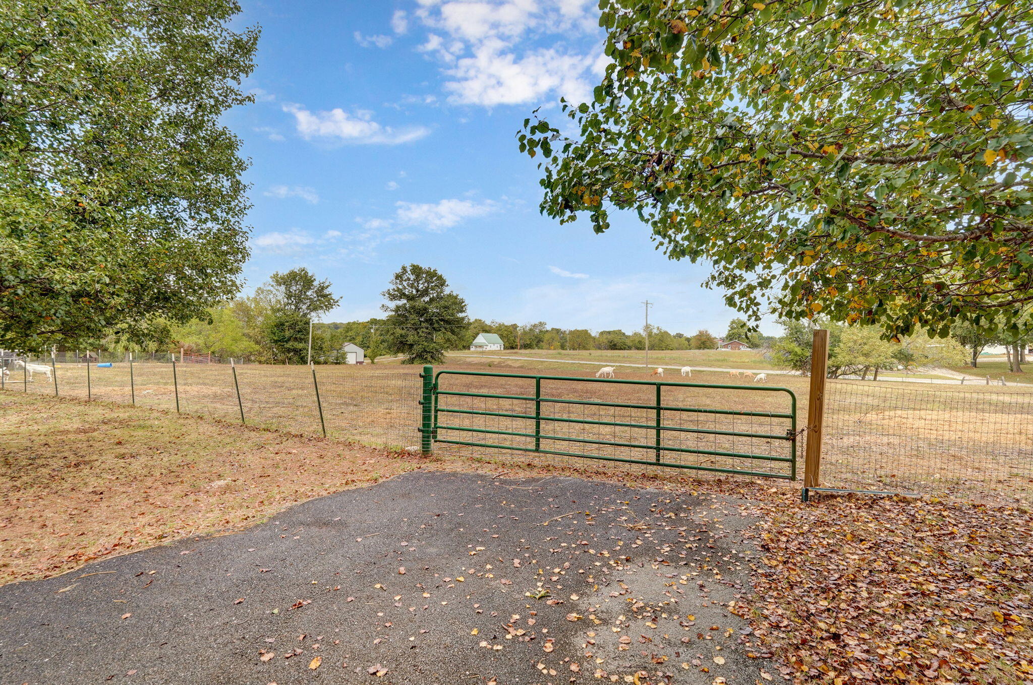 4310 West Farm Road 54 Property Photo 64