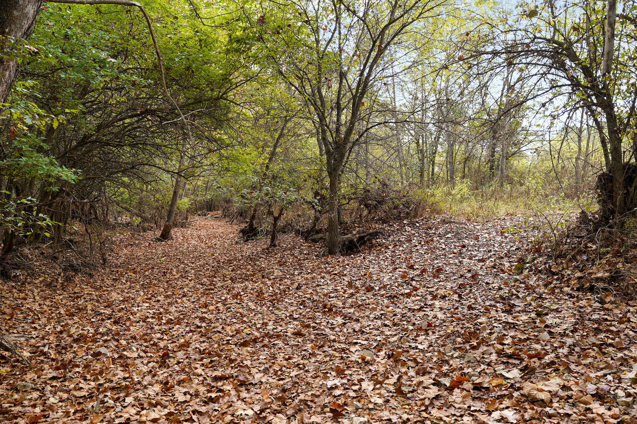 4310 West Farm Road 54 Property Photo 66