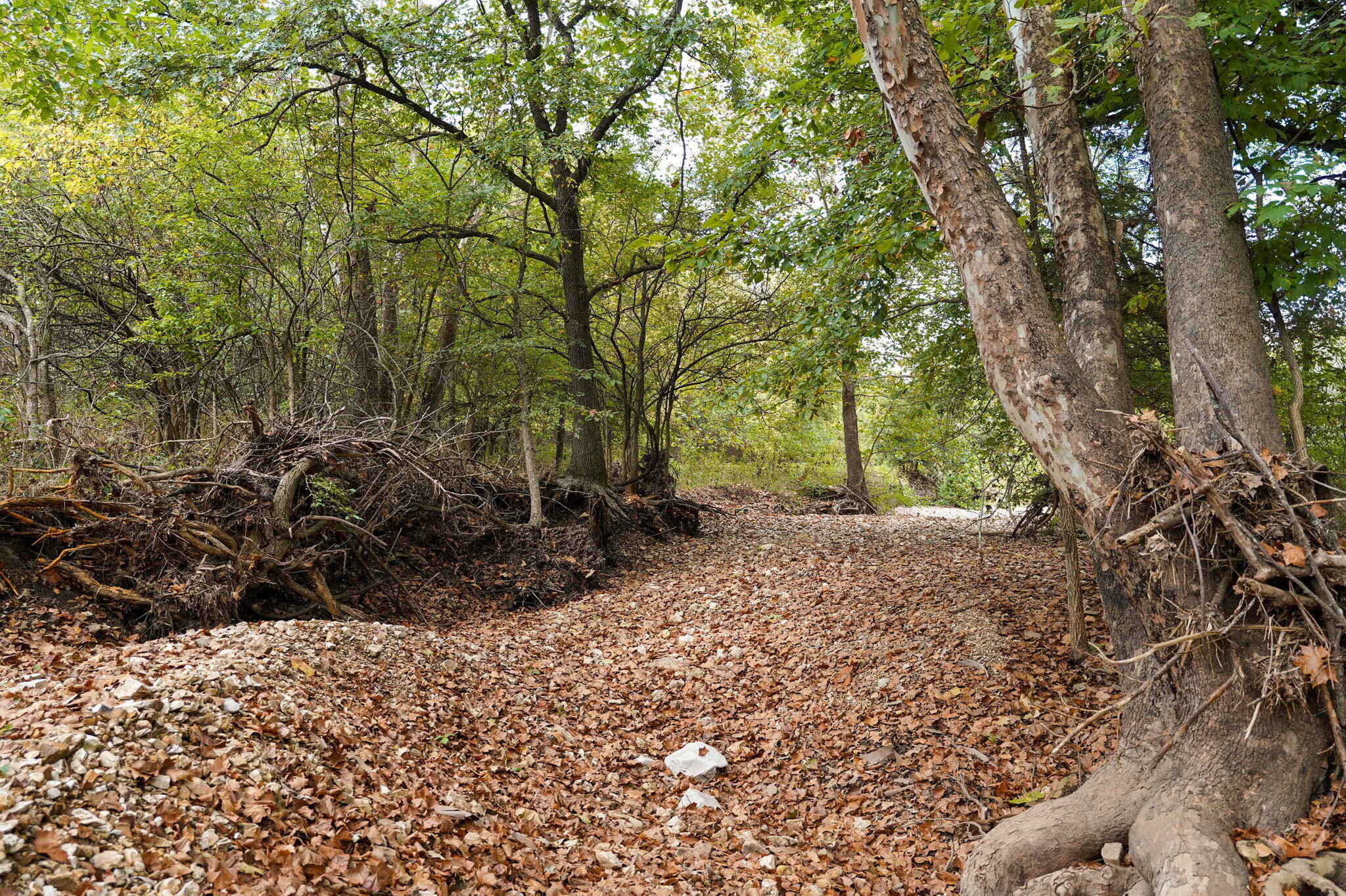4310 West Farm Road 54 Property Photo 67