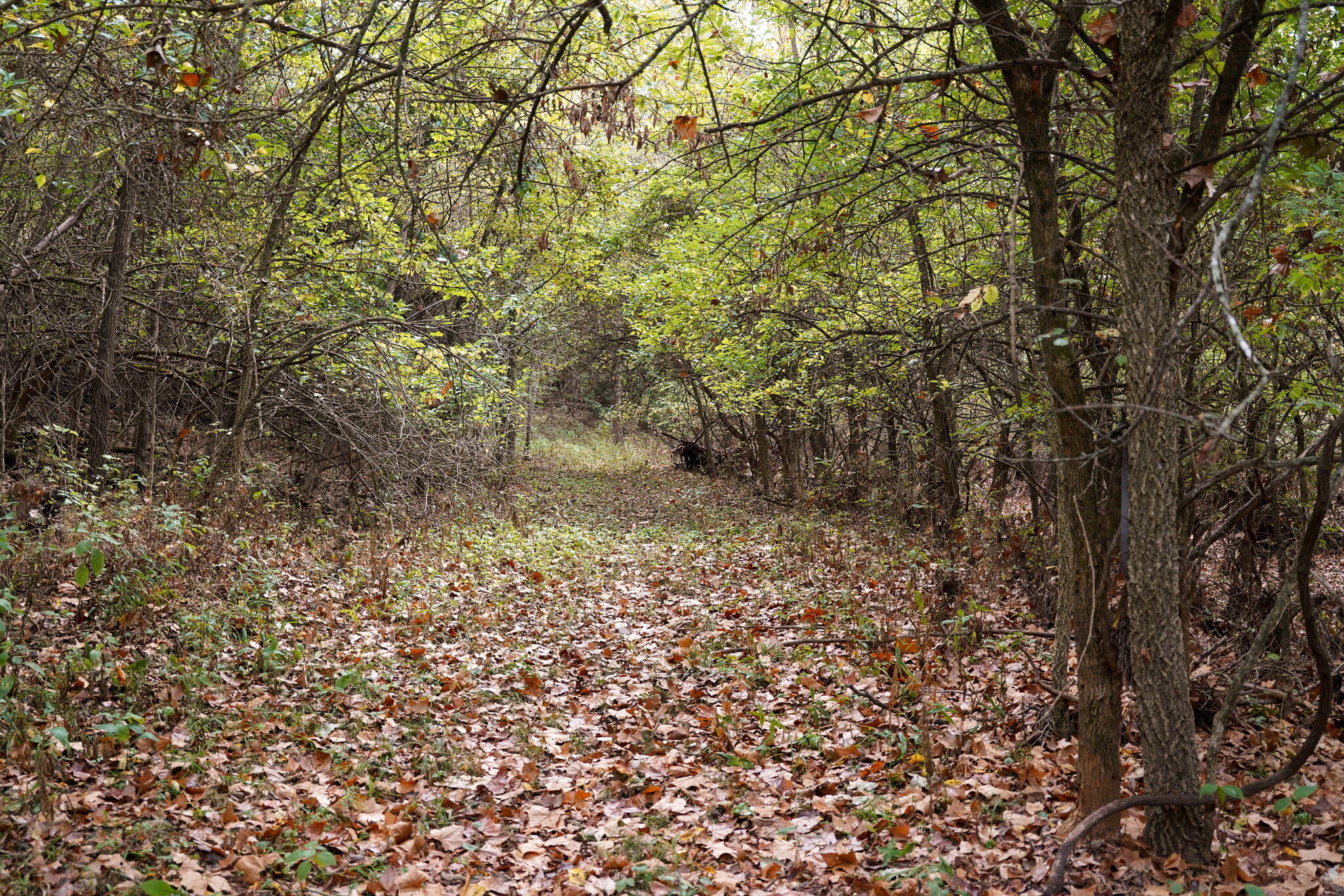 4310 West Farm Road 54 Property Photo 69