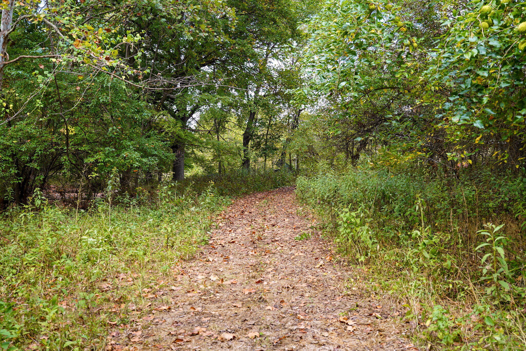 4310 West Farm Road 54 Property Photo 70