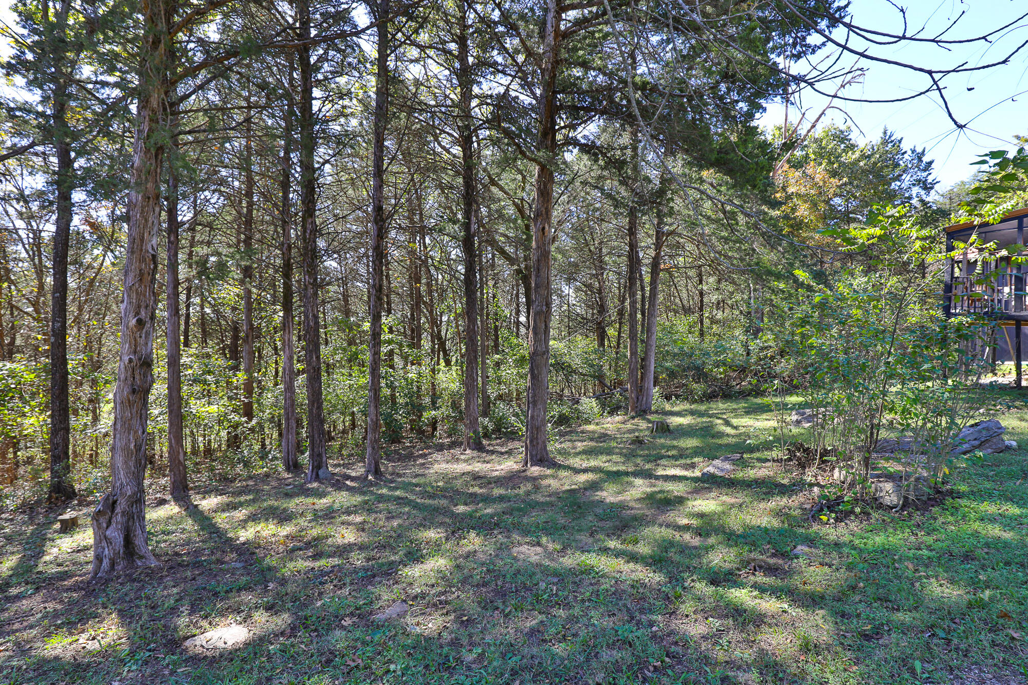 20494 Avery Road Property Photo 9