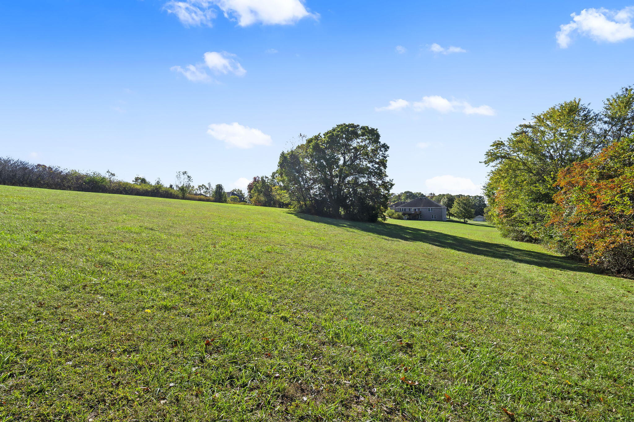 1013 West Sunny Slopes Drive Property Photo 46