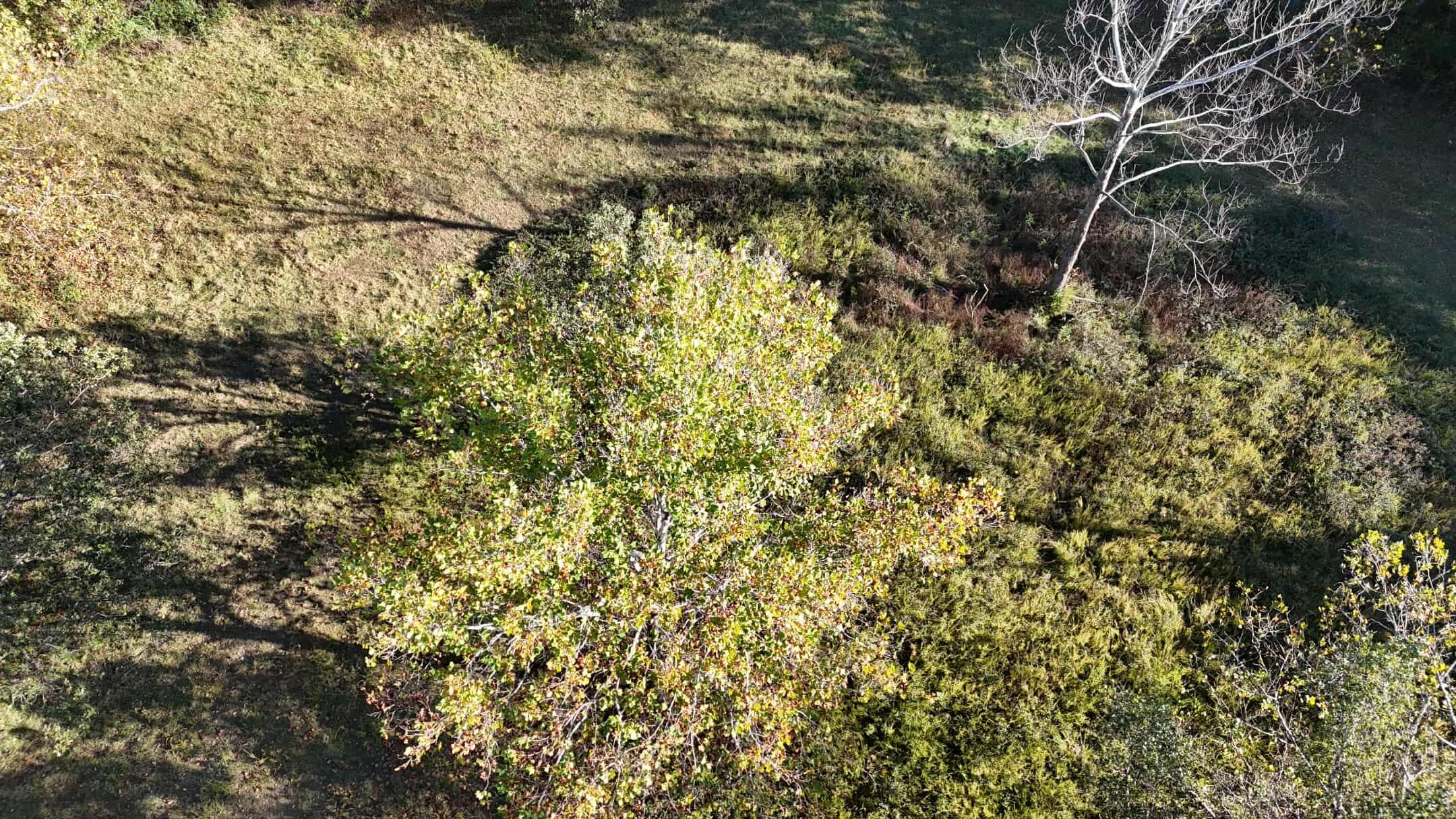 19180 East 920th Road Property Photo 37