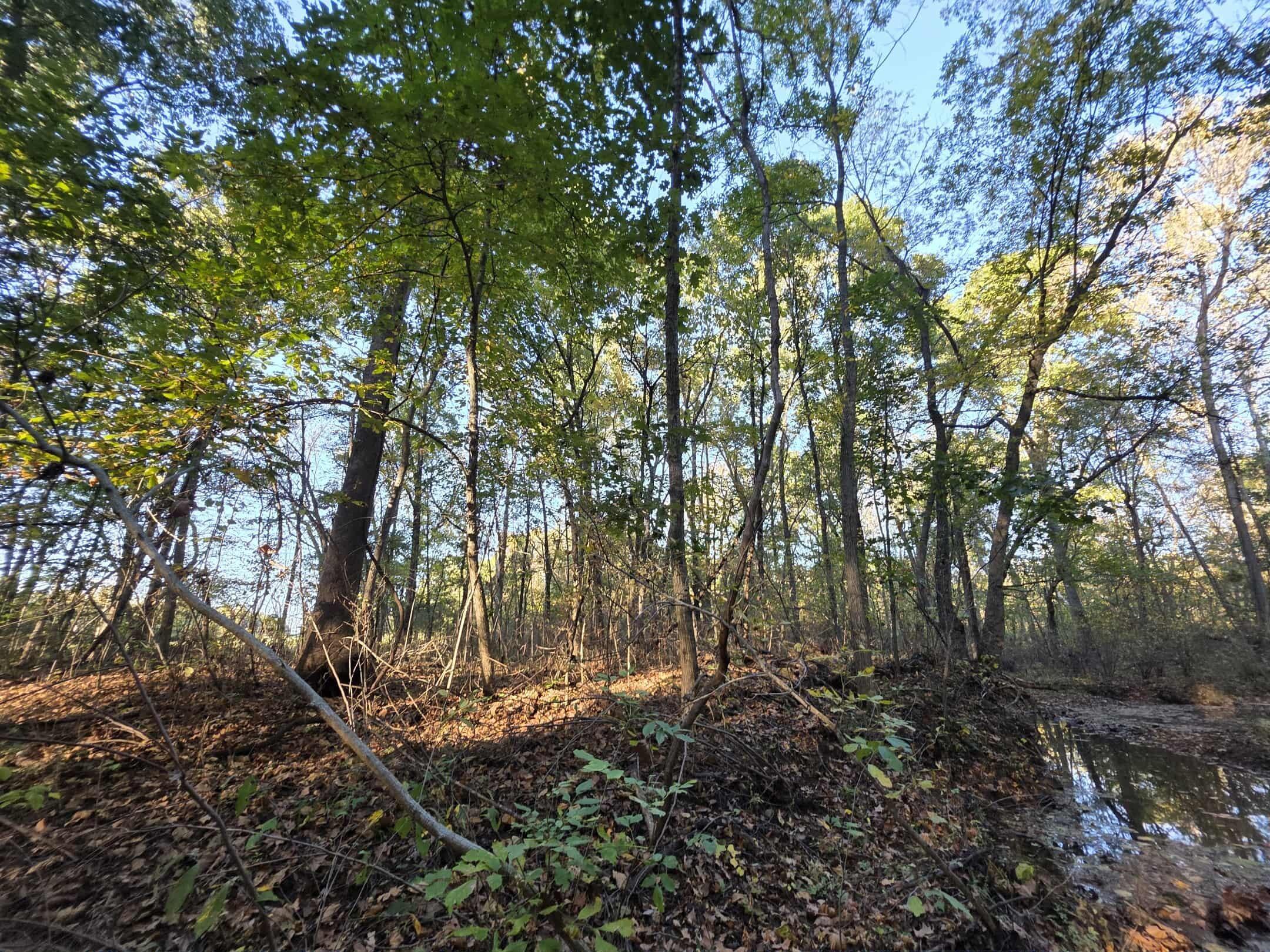 19180 East 920th Road Property Photo 42