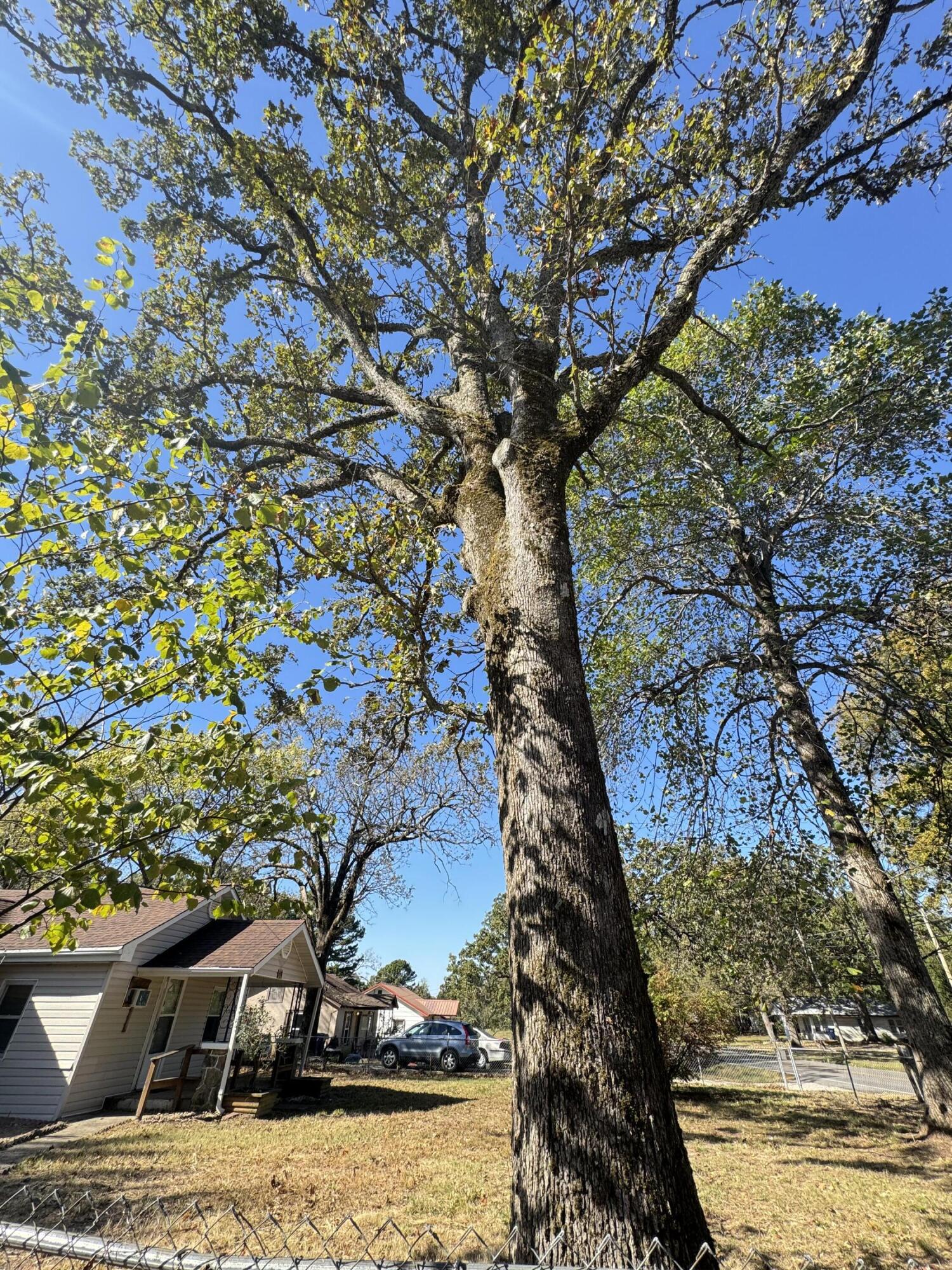 698 Mo-181 Property Photo 5