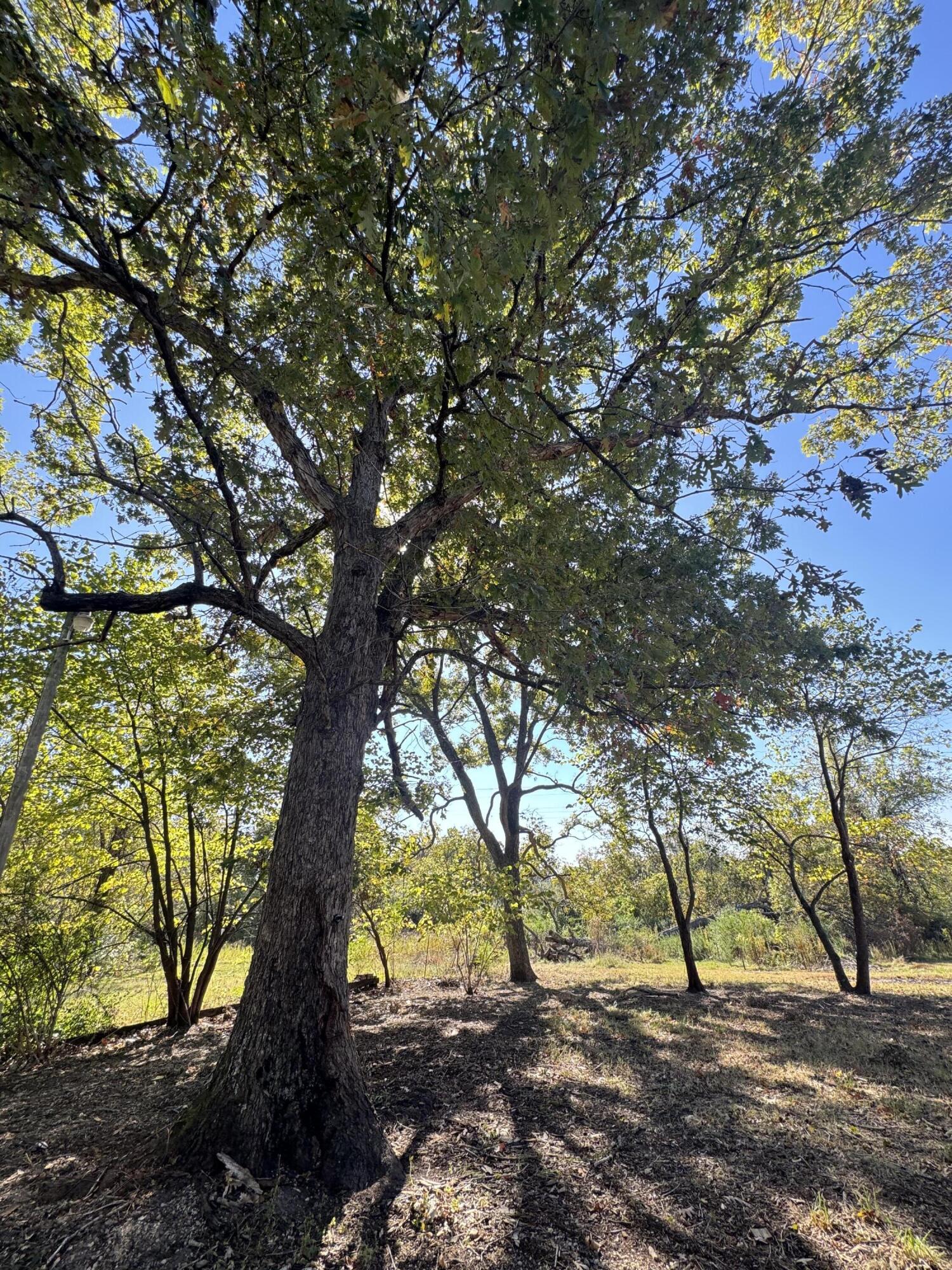 698 Mo-181 Property Photo 6