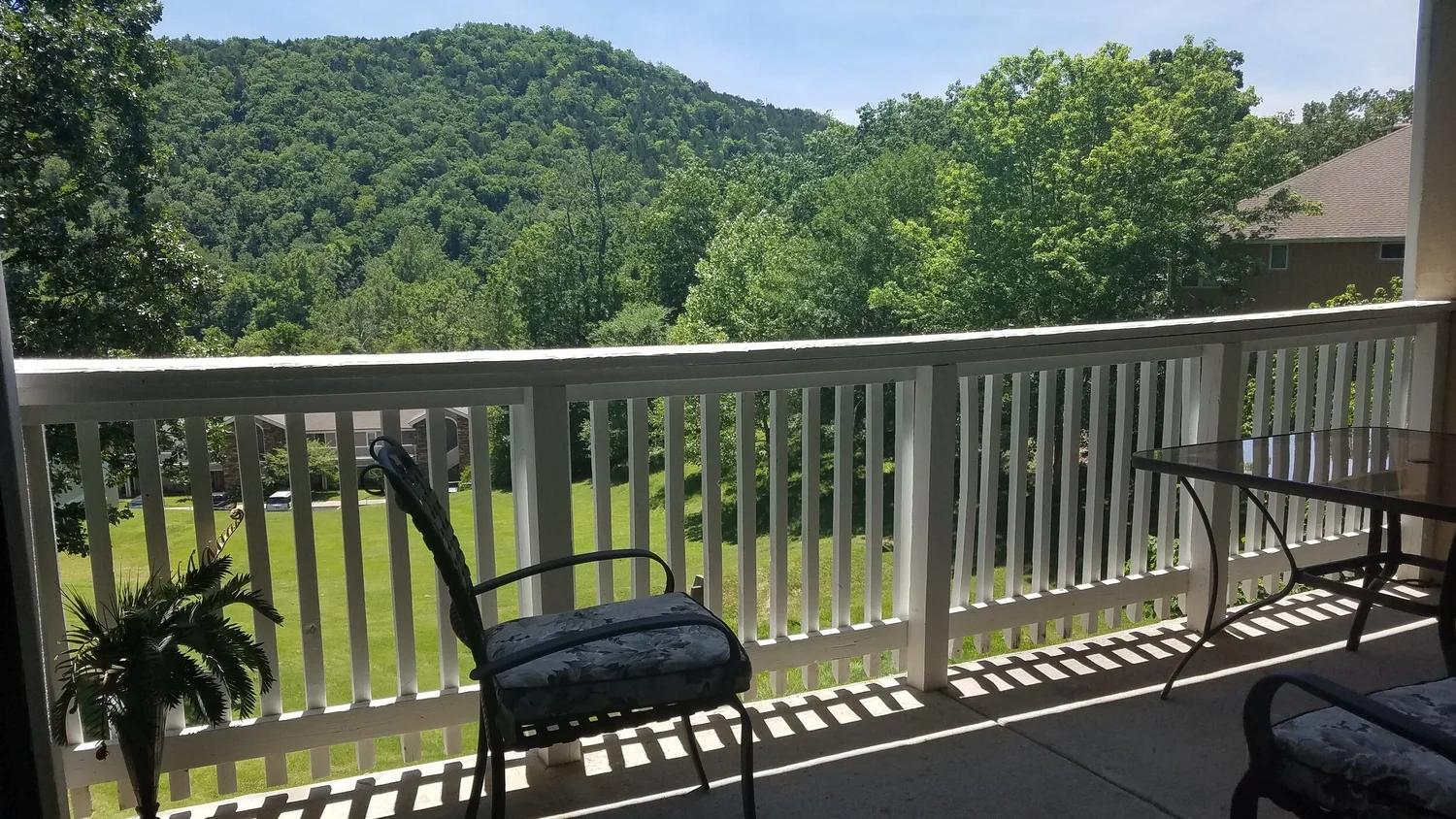 240 Wimbledon Drive Property Photo 39