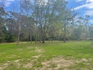 20803 Sunshine Road Property Photo 6