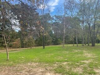 20803 Sunshine Road Property Photo 10