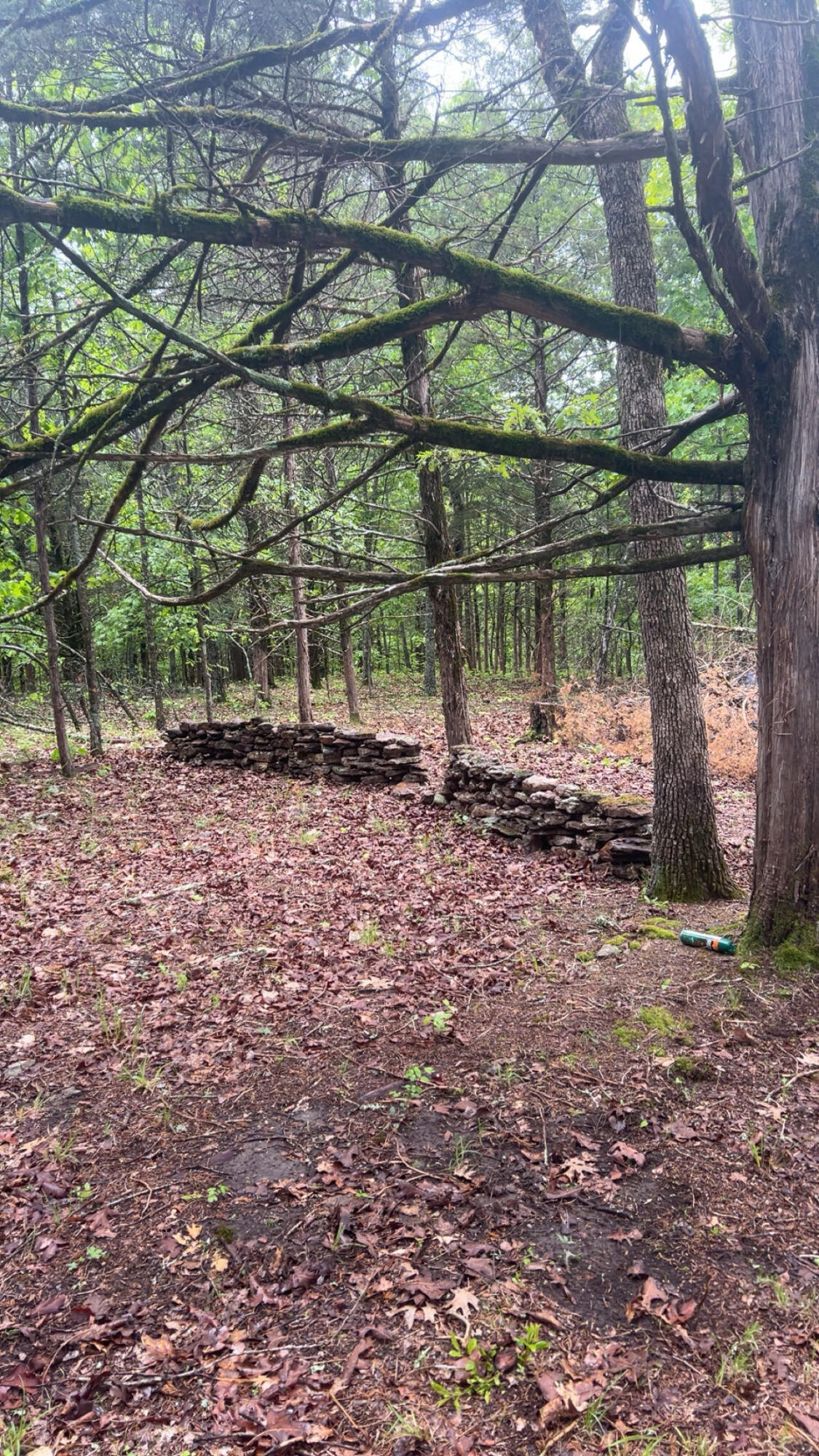 825 Jessi Road Property Photo 1