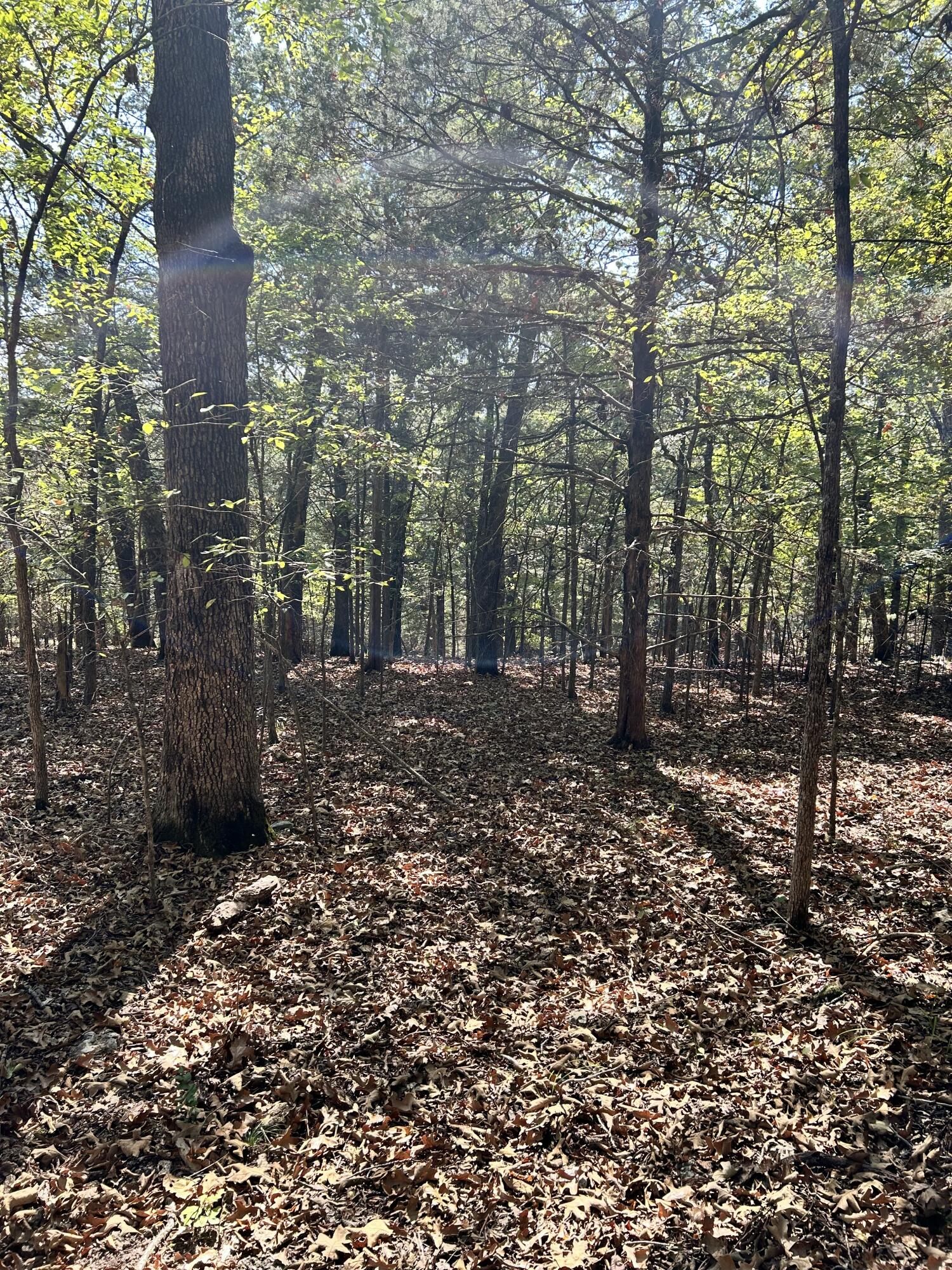 825 Jessi Road Property Photo 2