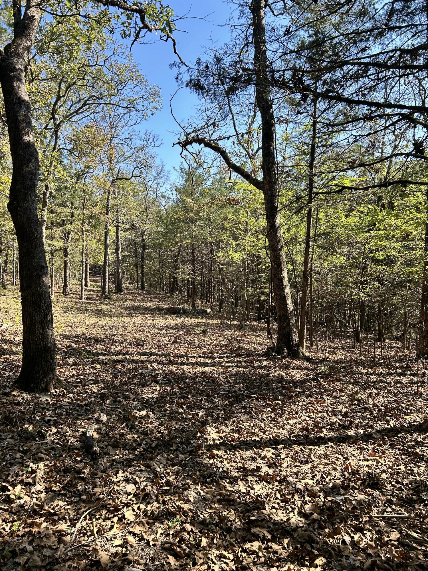 825 Jessi Road Property Photo 3