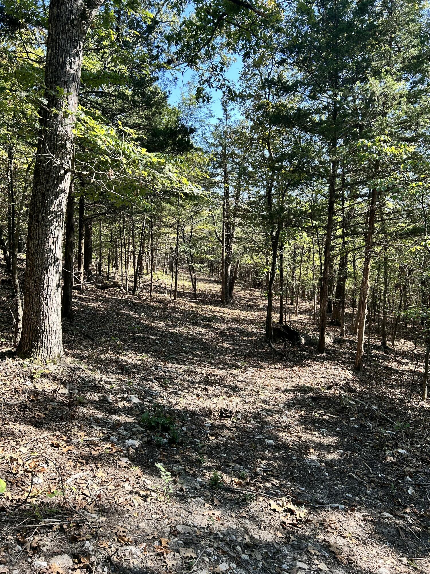 825 Jessi Road Property Photo 4