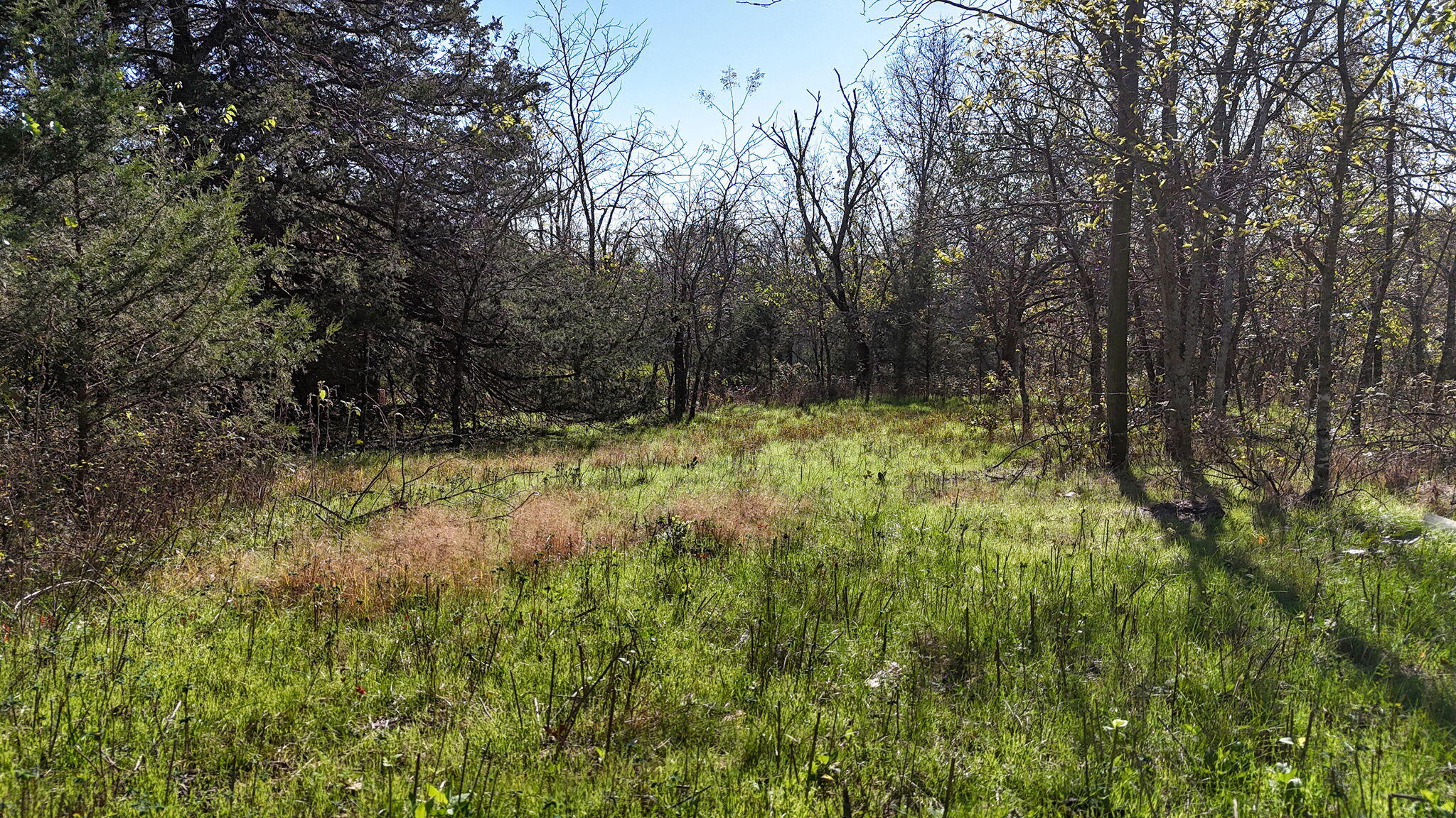 000 State Hwy 39 Property Photo 12